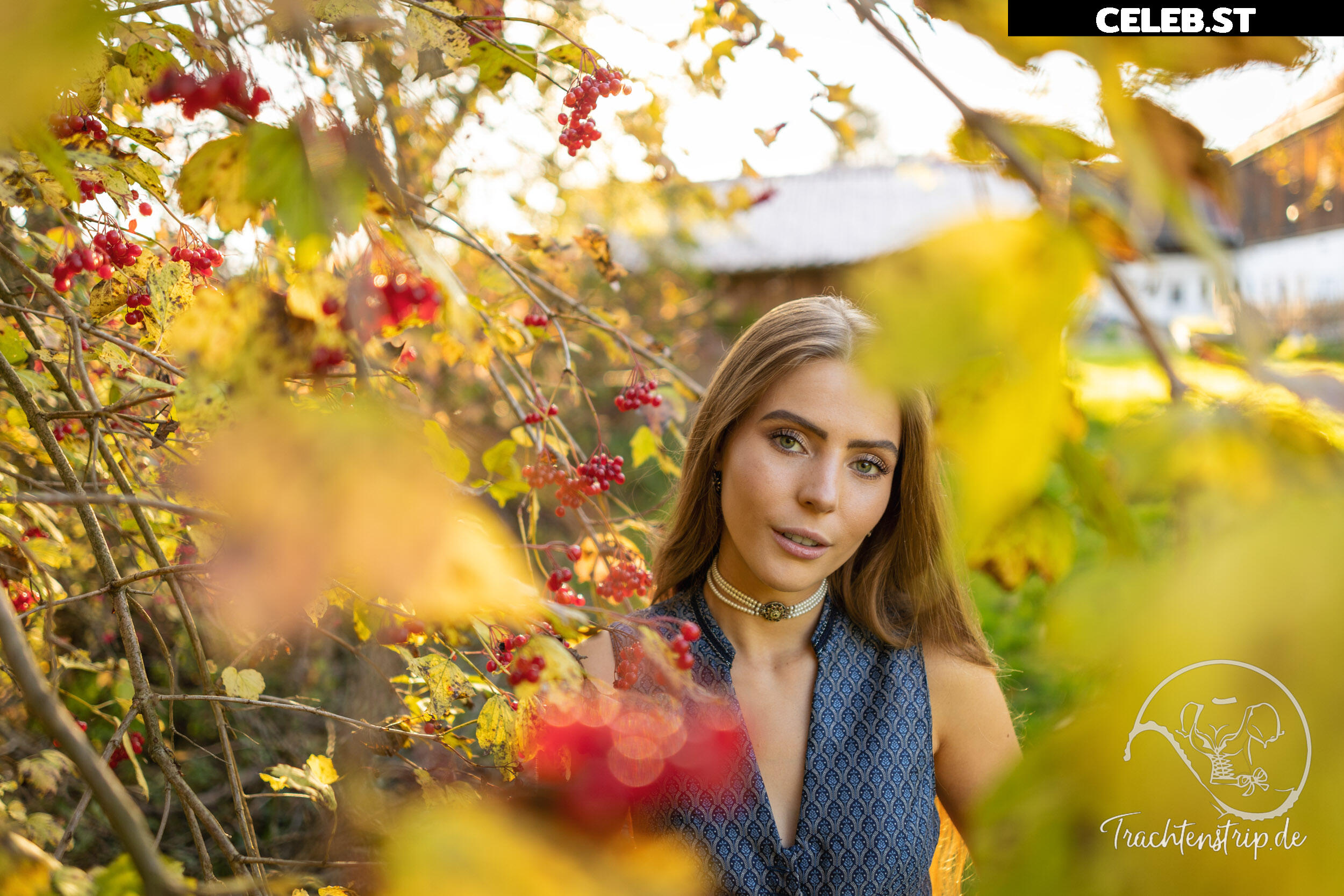 Trachtenstrip Image 1718336