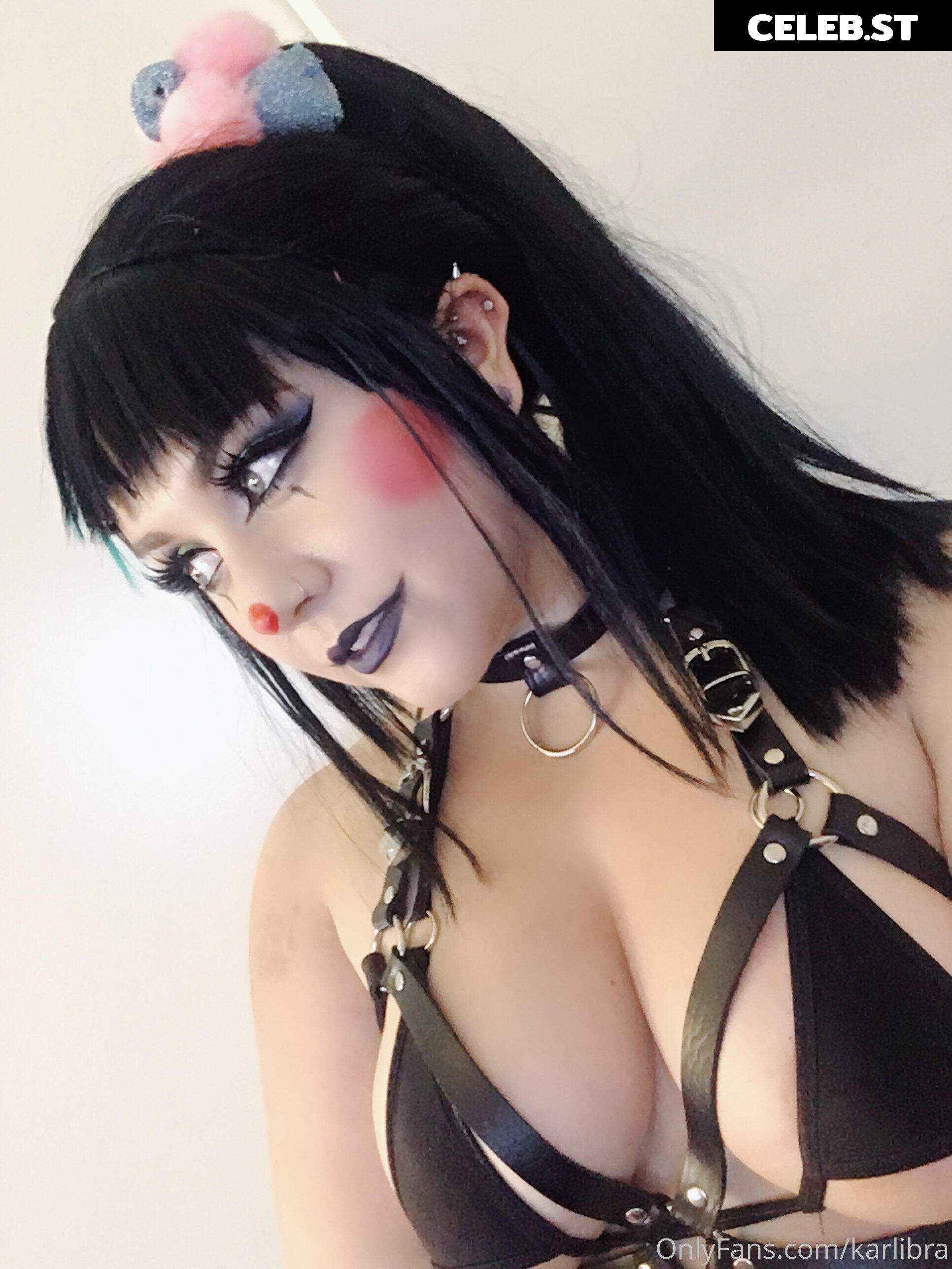 karlibra Image 17051314