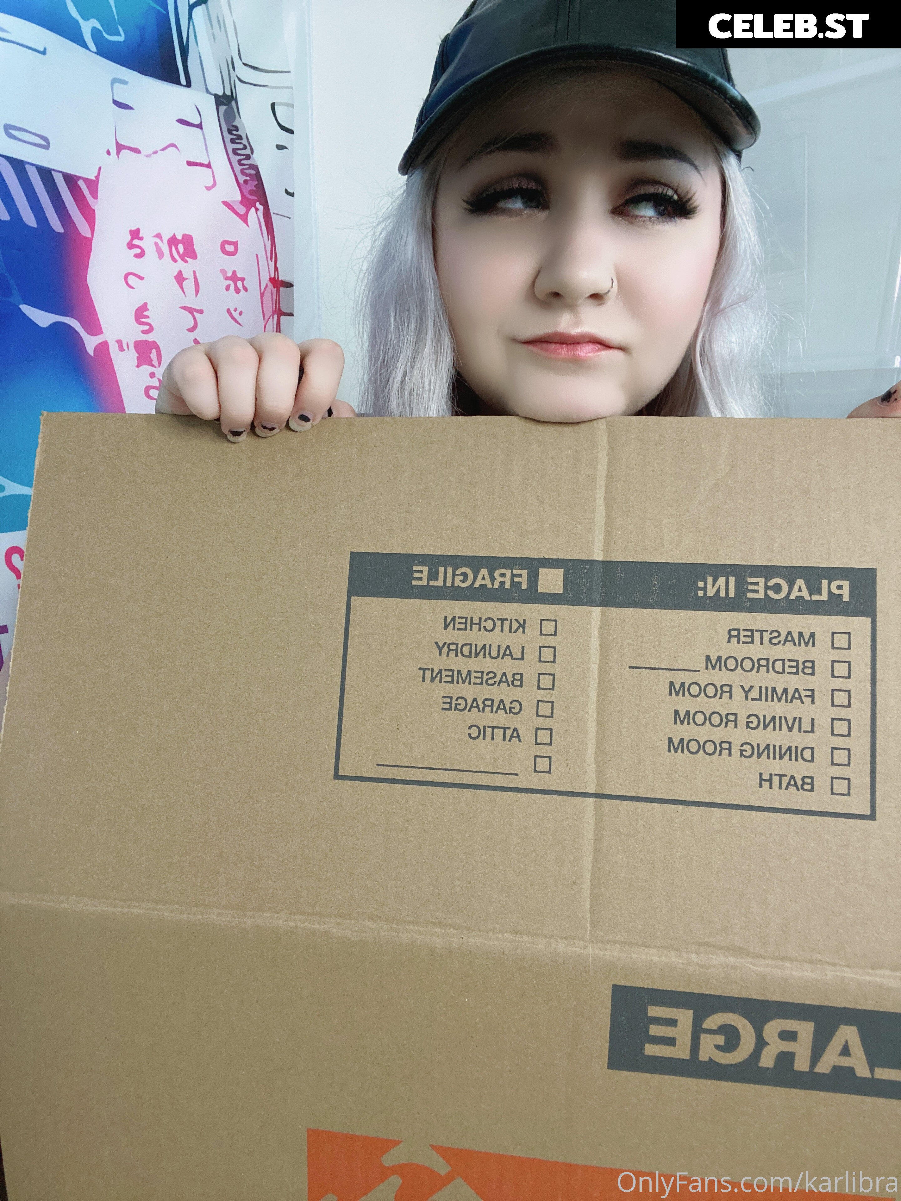 karlibra Image 17050167