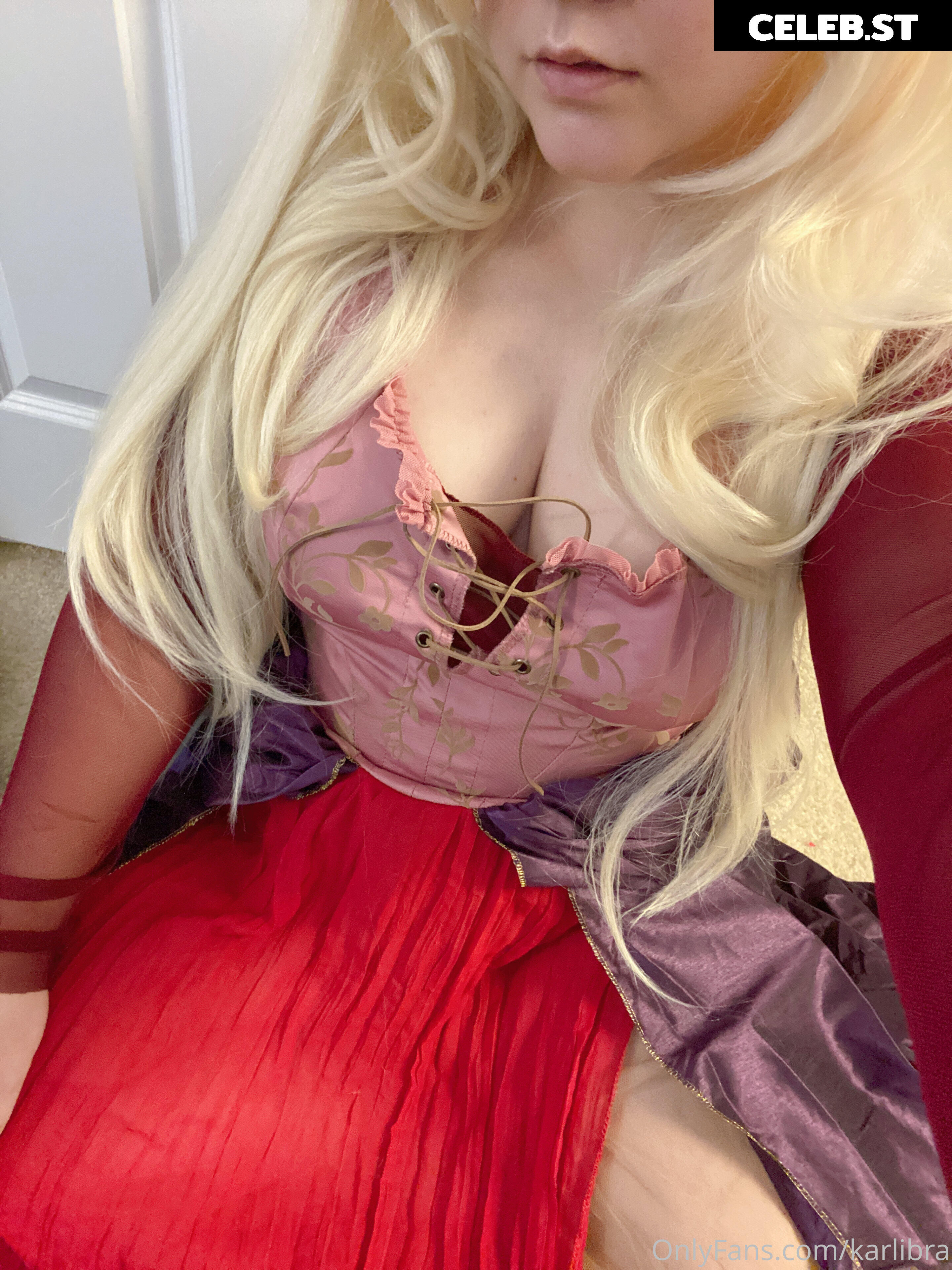 karlibra Image 17047082