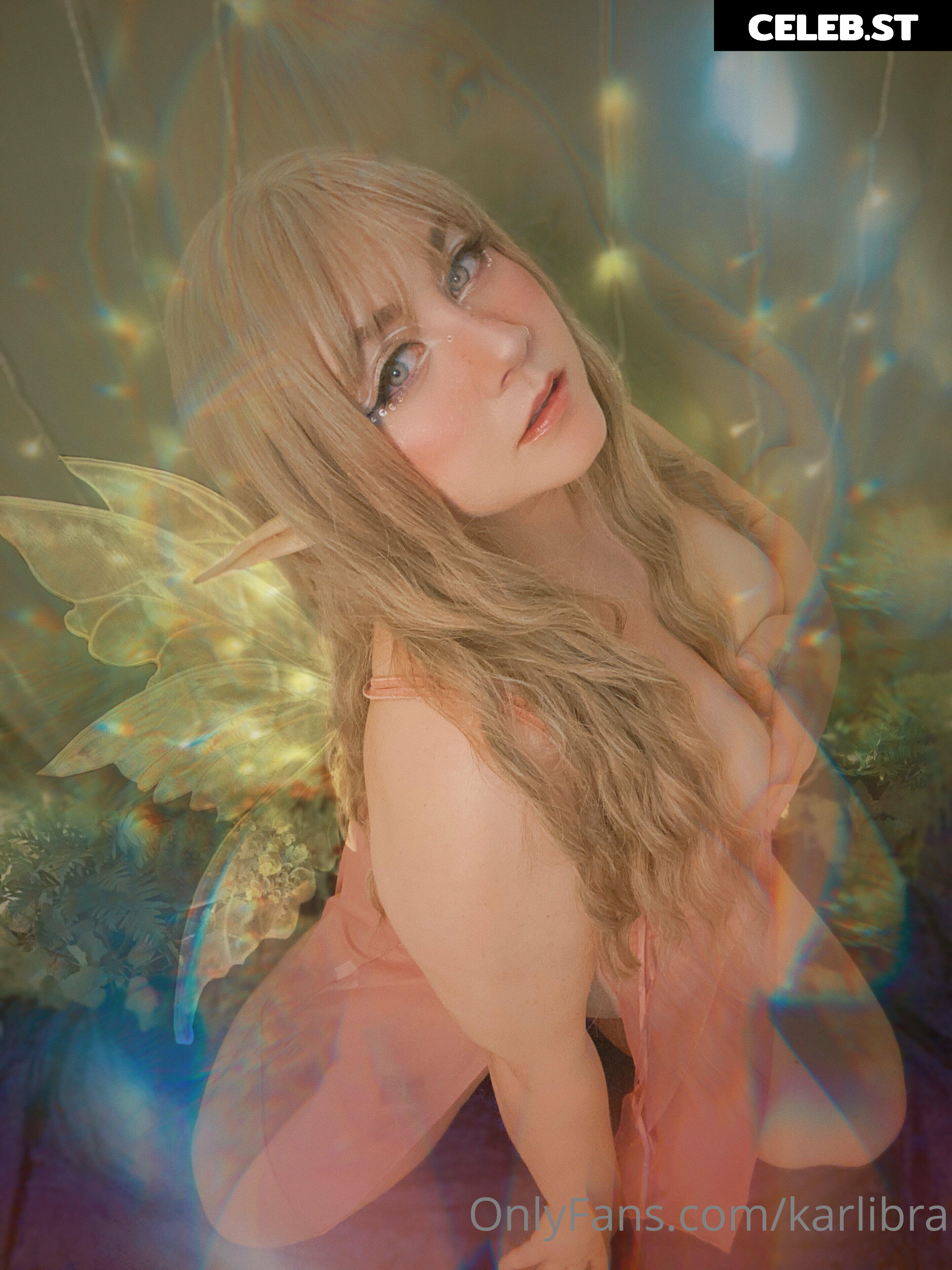 karlibra Image 17046495