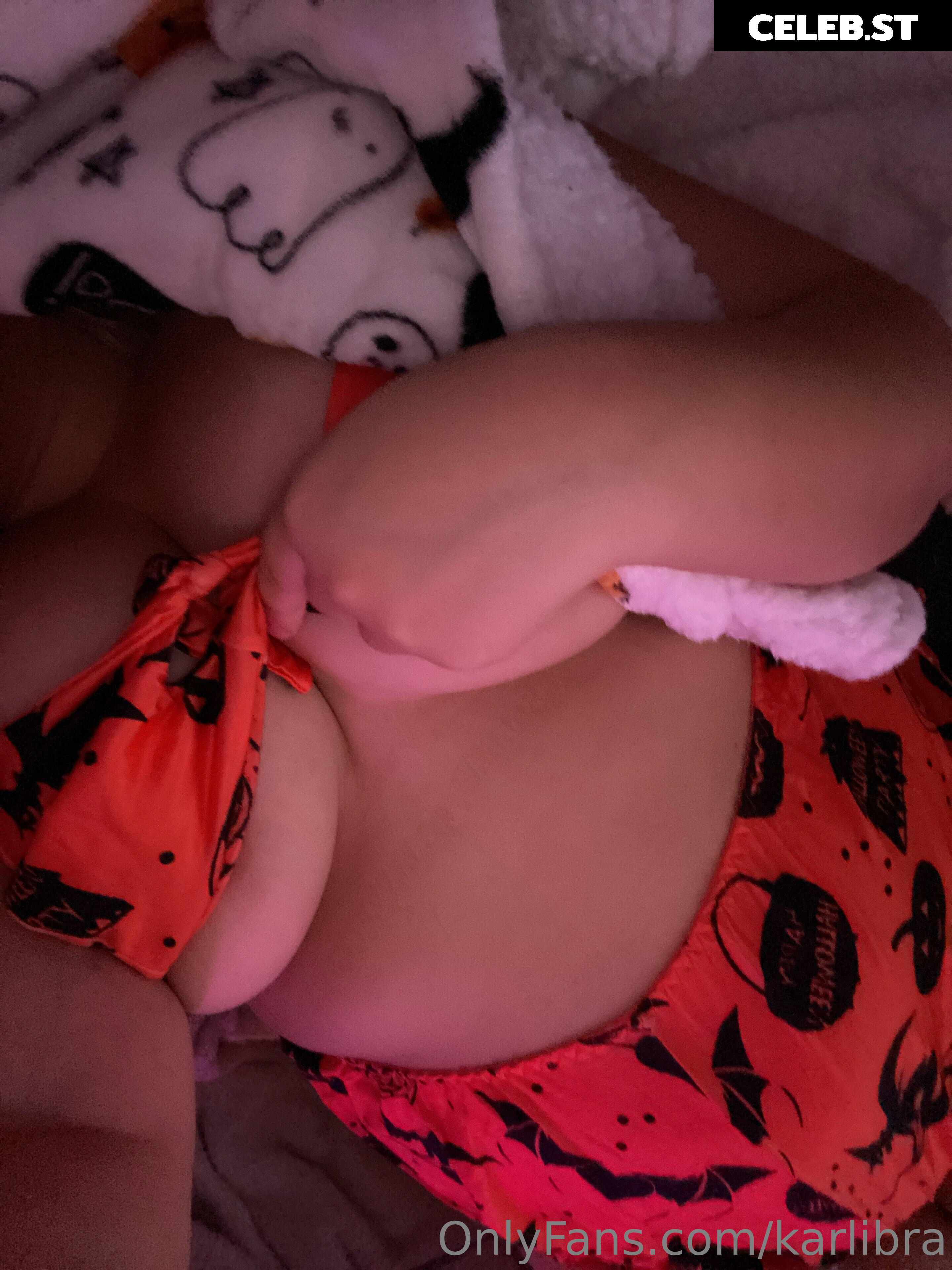 karlibra Image 17040674
