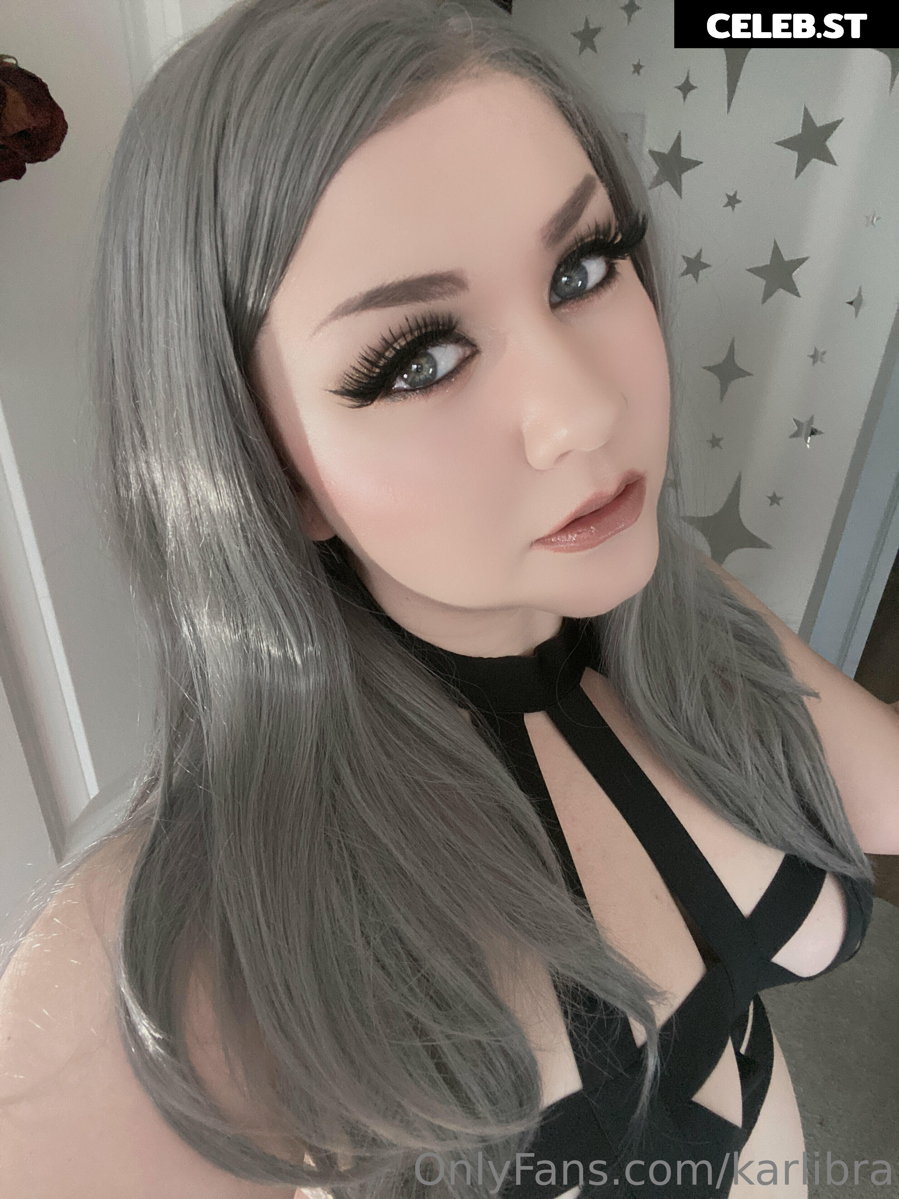 karlibra Image 17040264