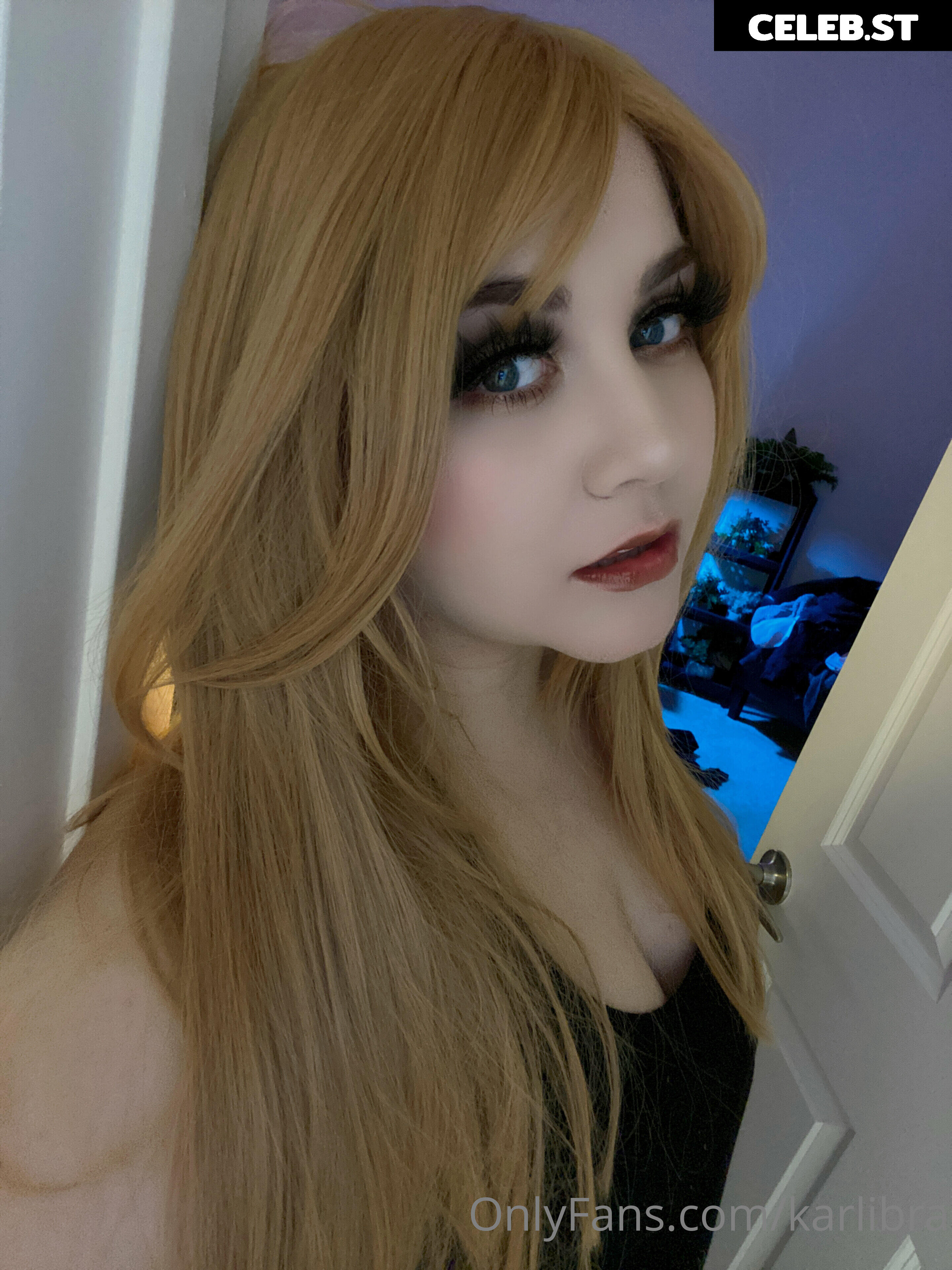 karlibra Image 17042234