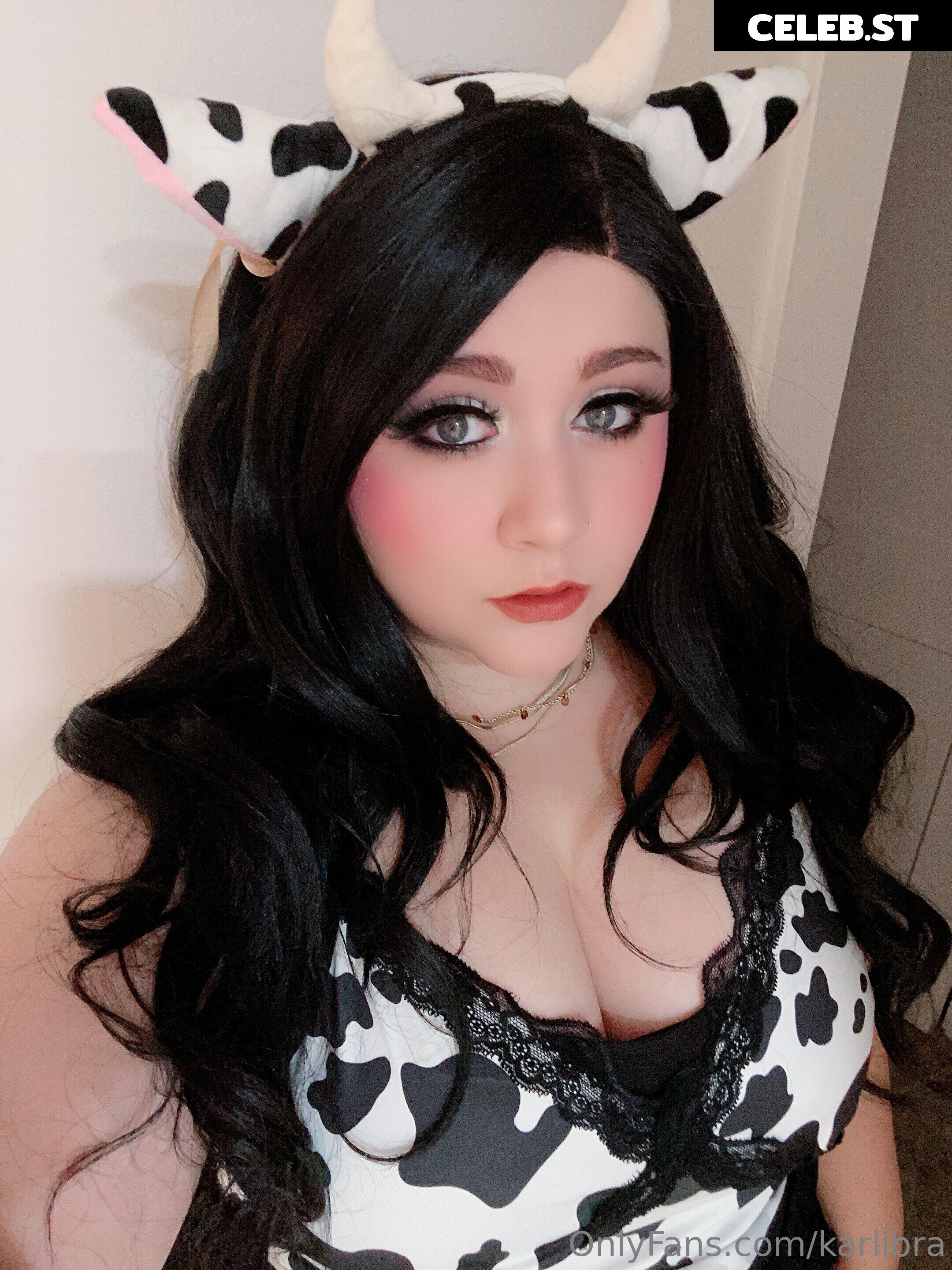 karlibra Image 17034154