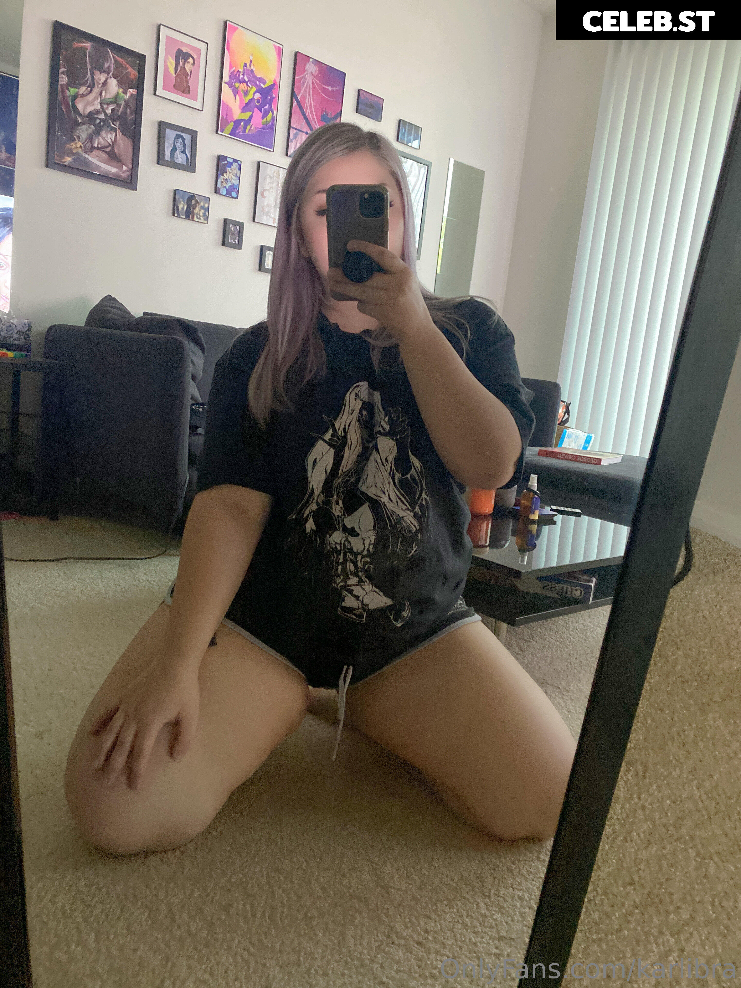 karlibra Image 17031447