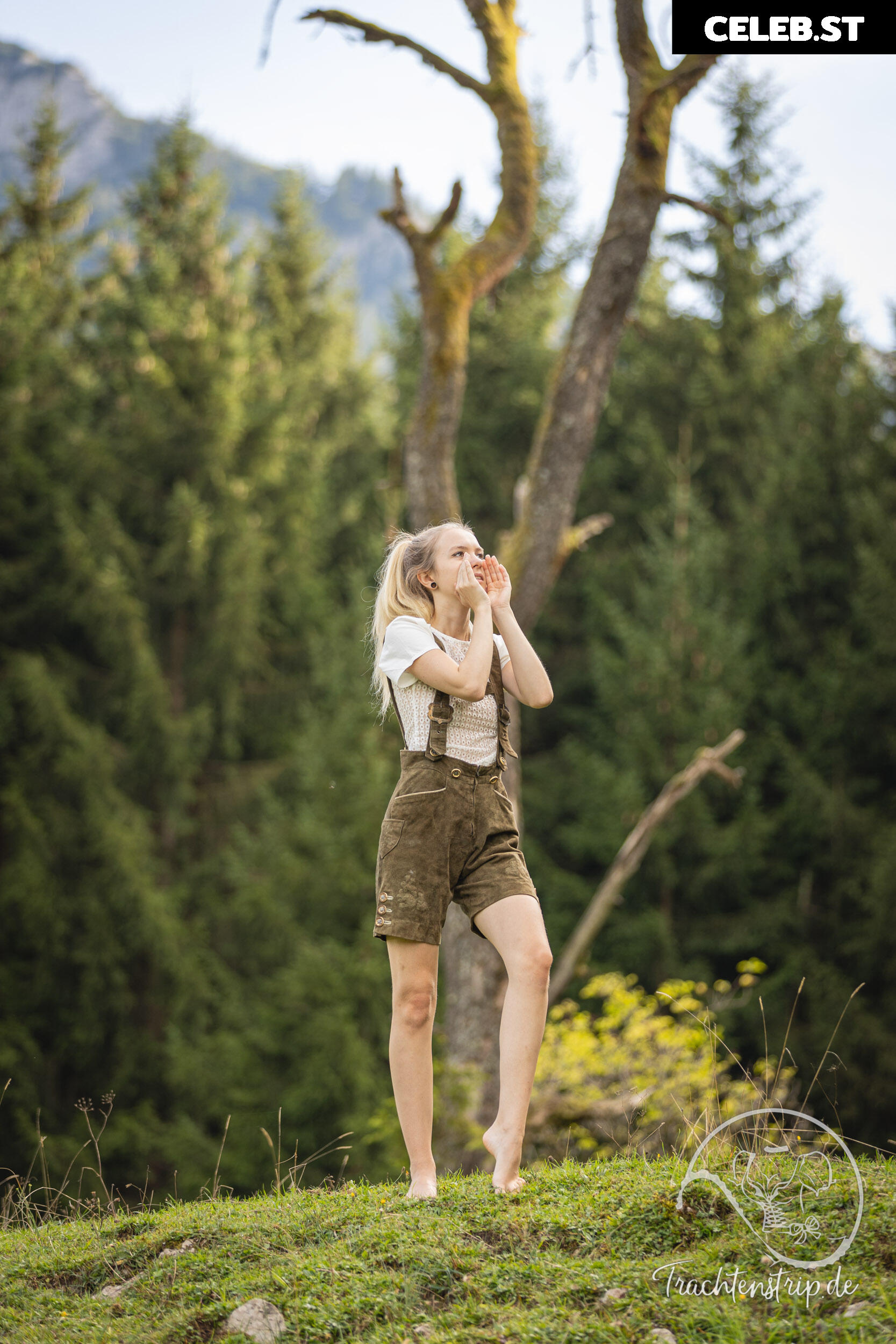 Trachtenstrip Image 1708017