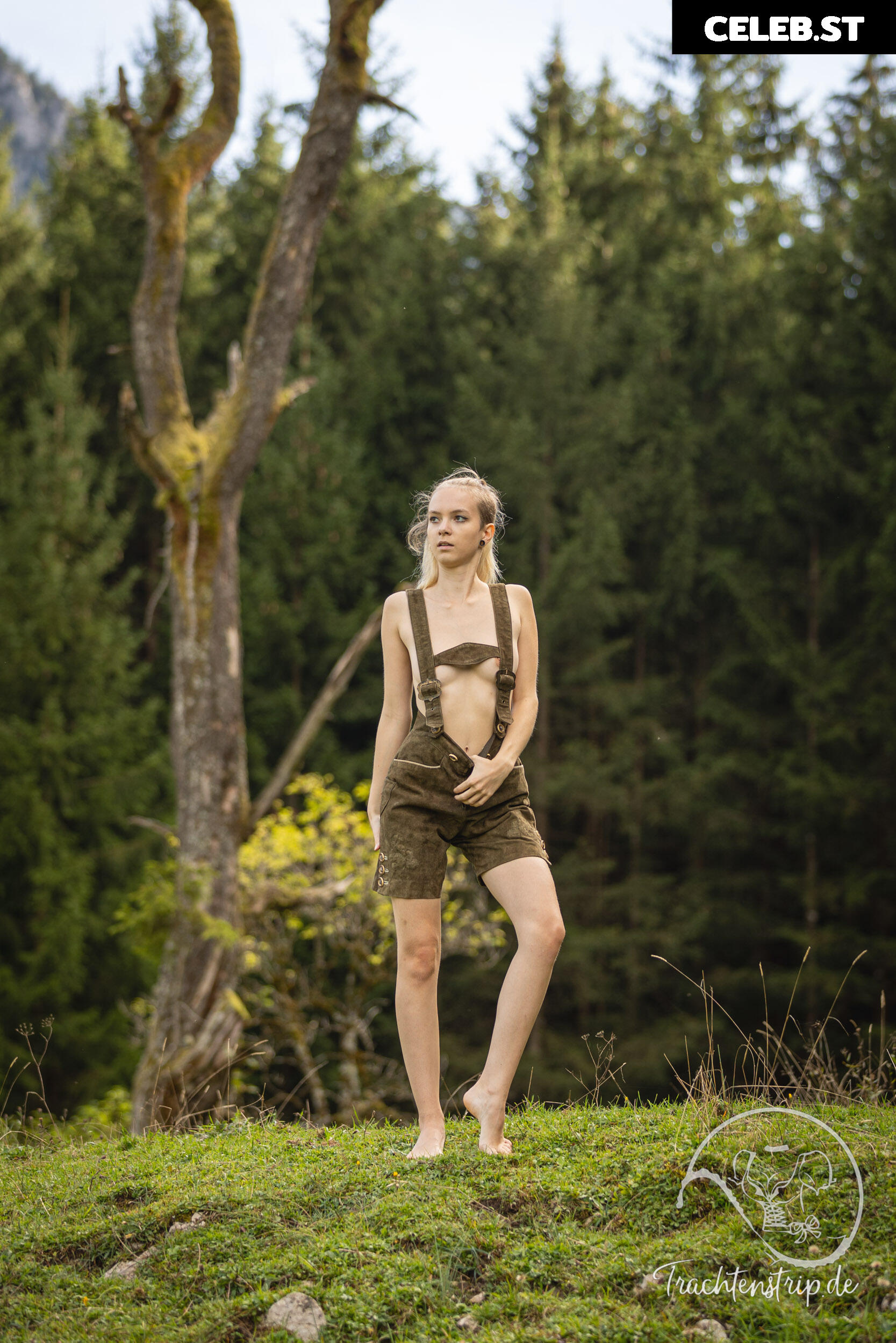 Trachtenstrip Image 1708277