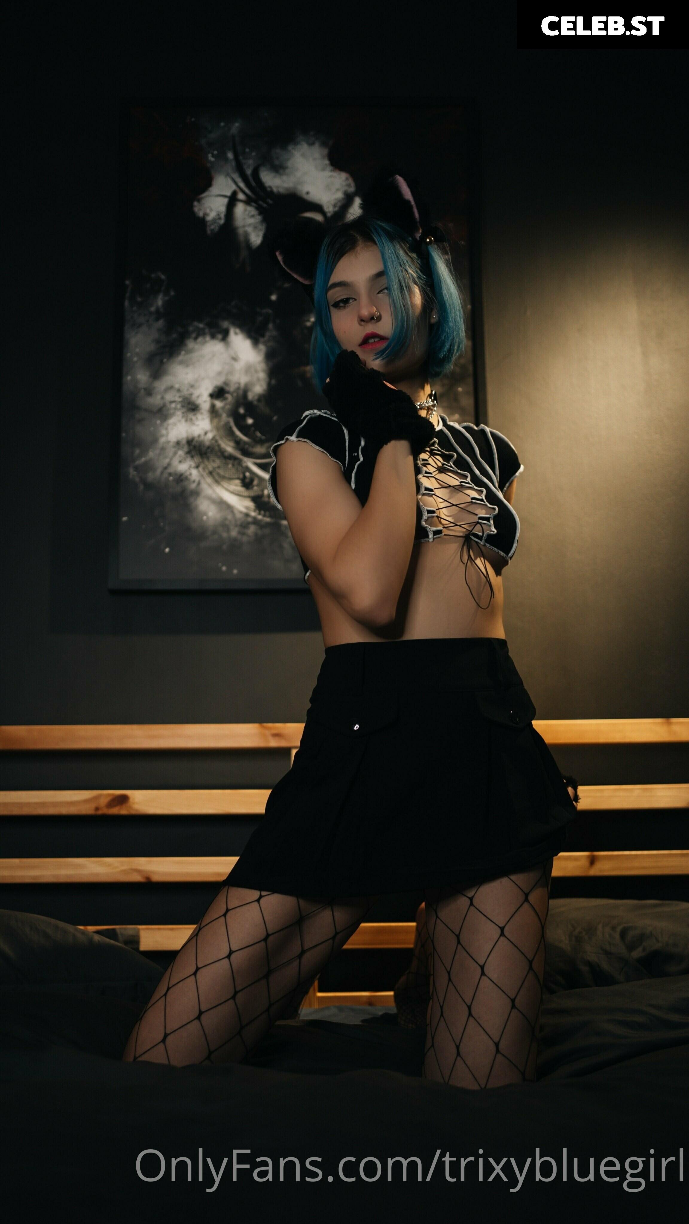 trixyblue Image 1085570