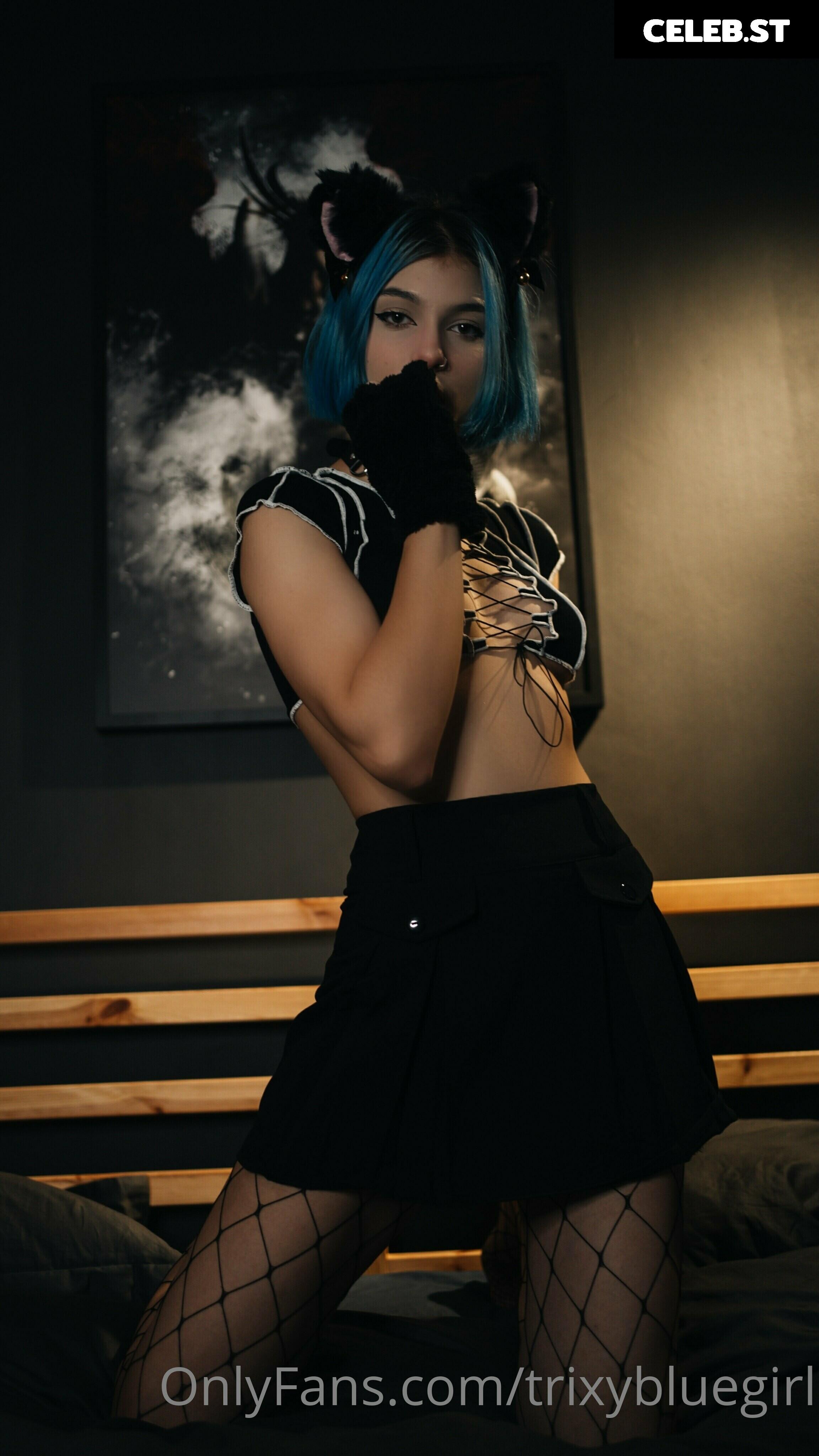 trixyblue Image 1085361