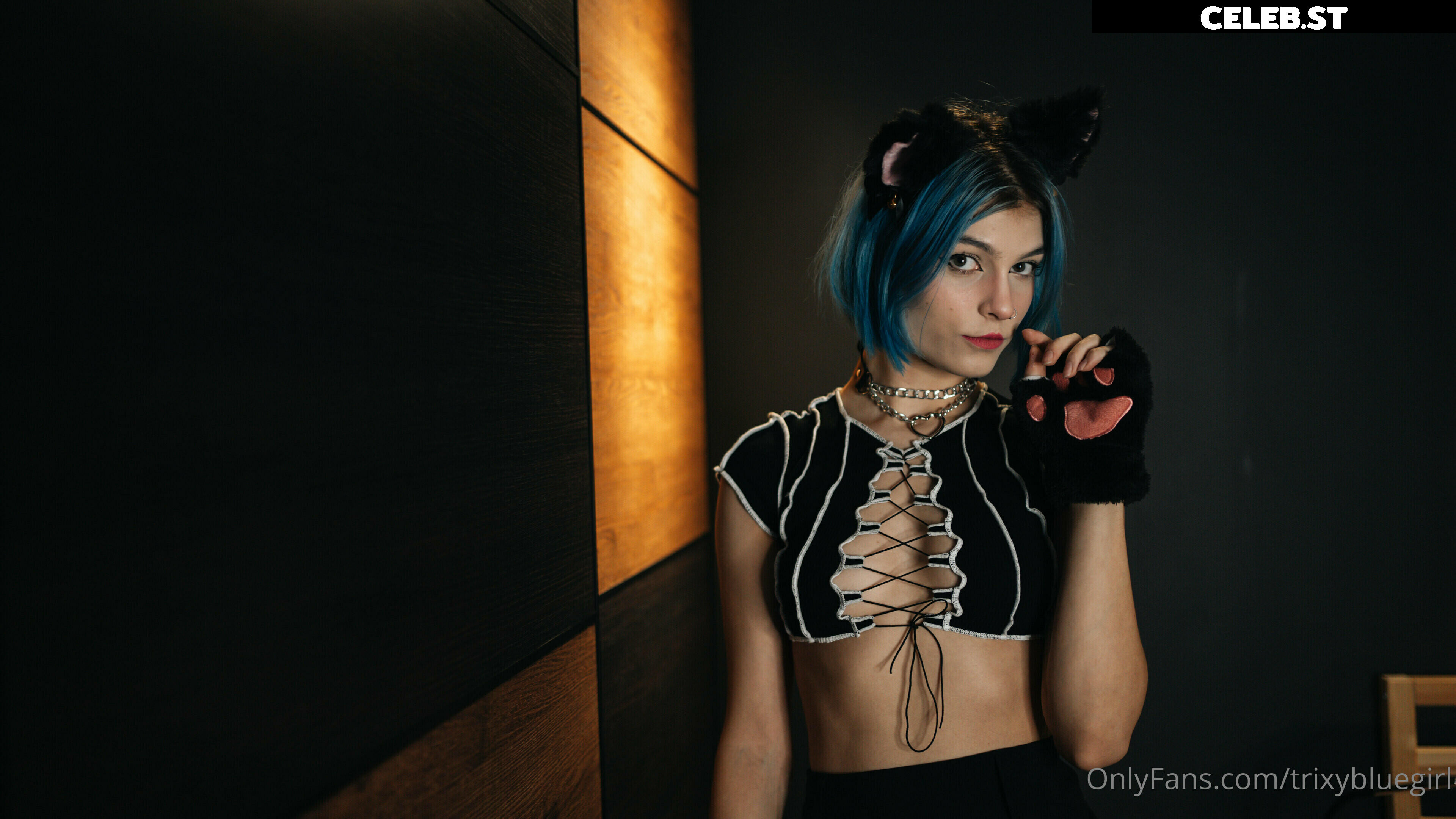 trixyblue Image 1084878