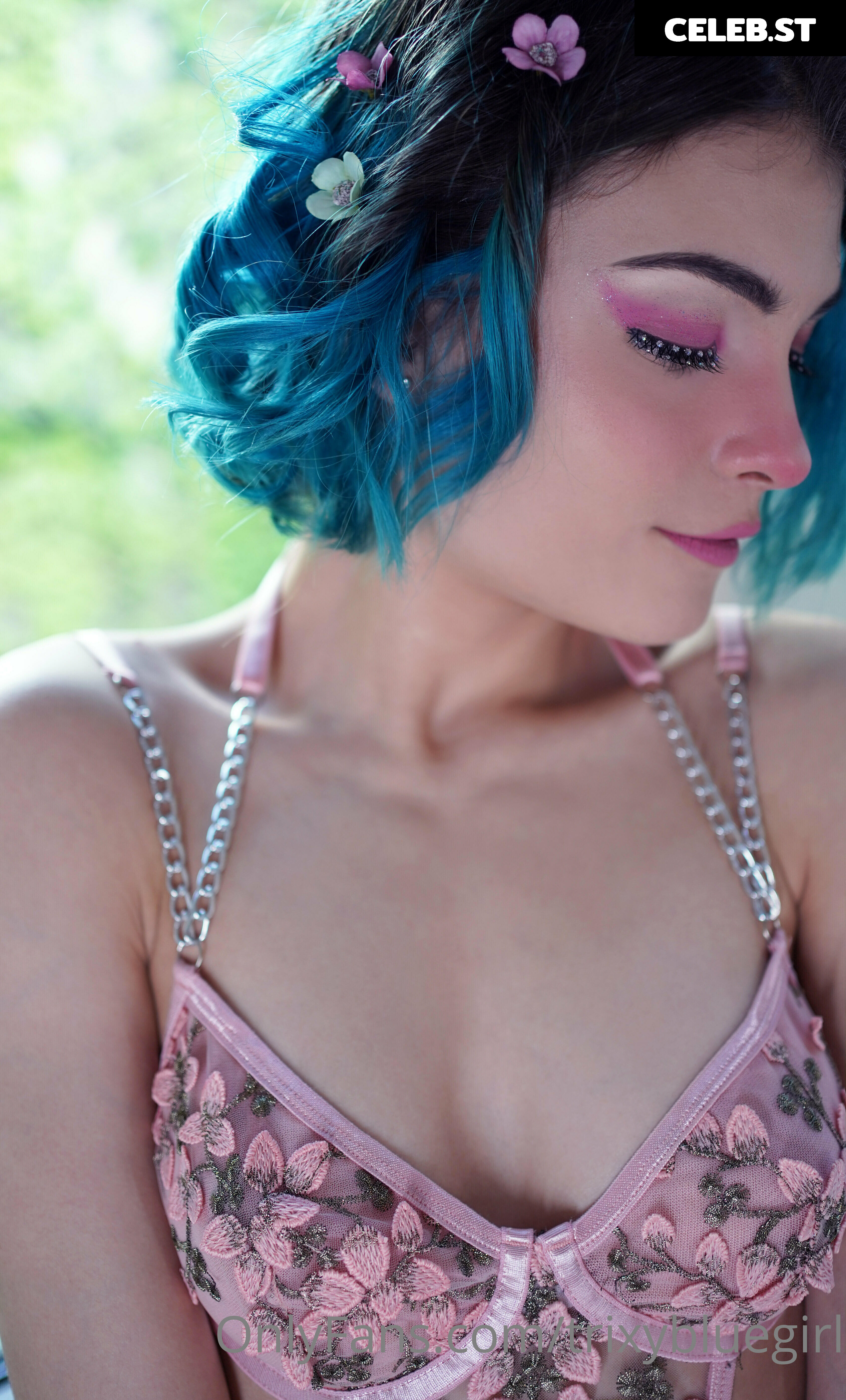 trixyblue Image 1081395