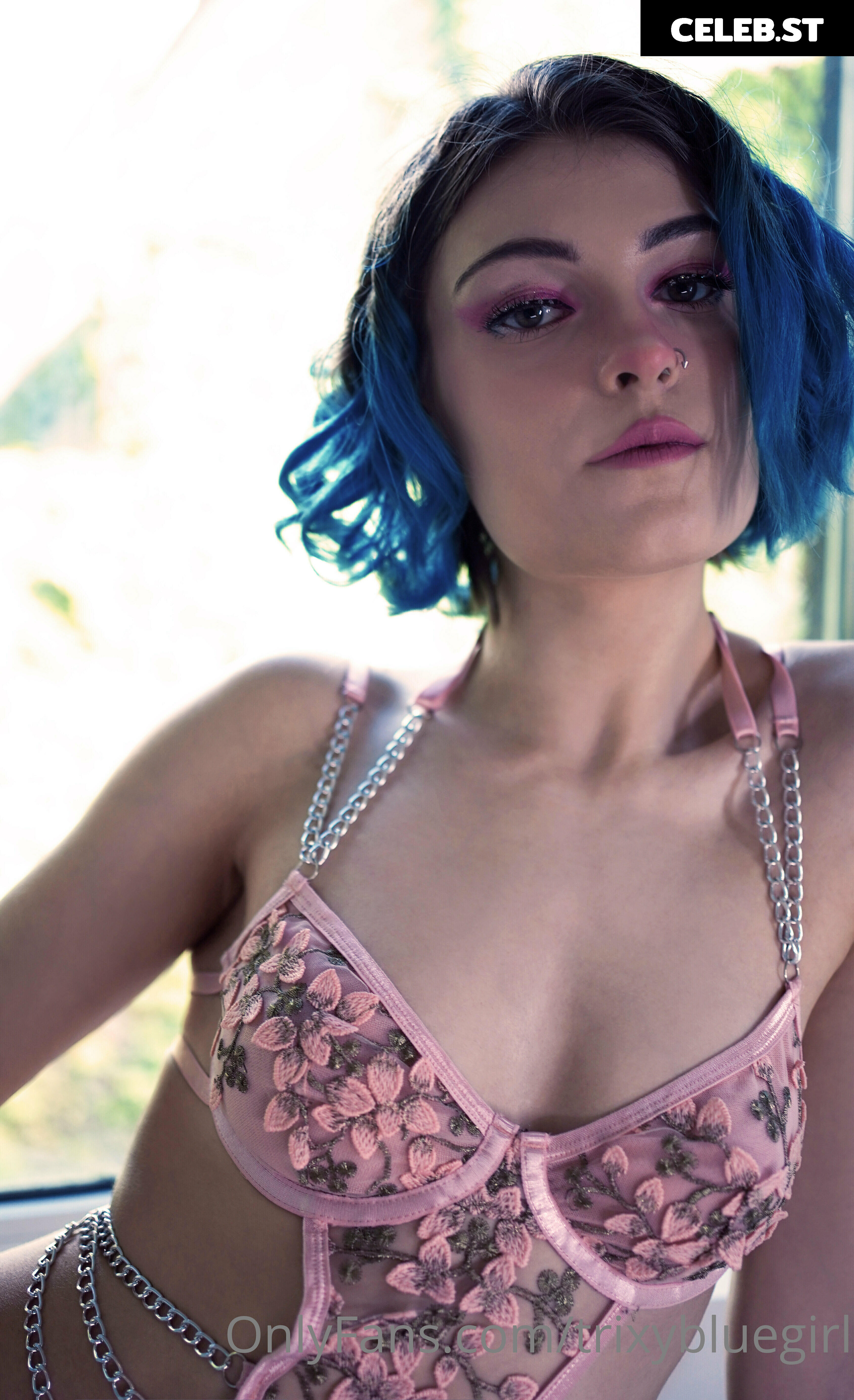 trixyblue Image 1081276