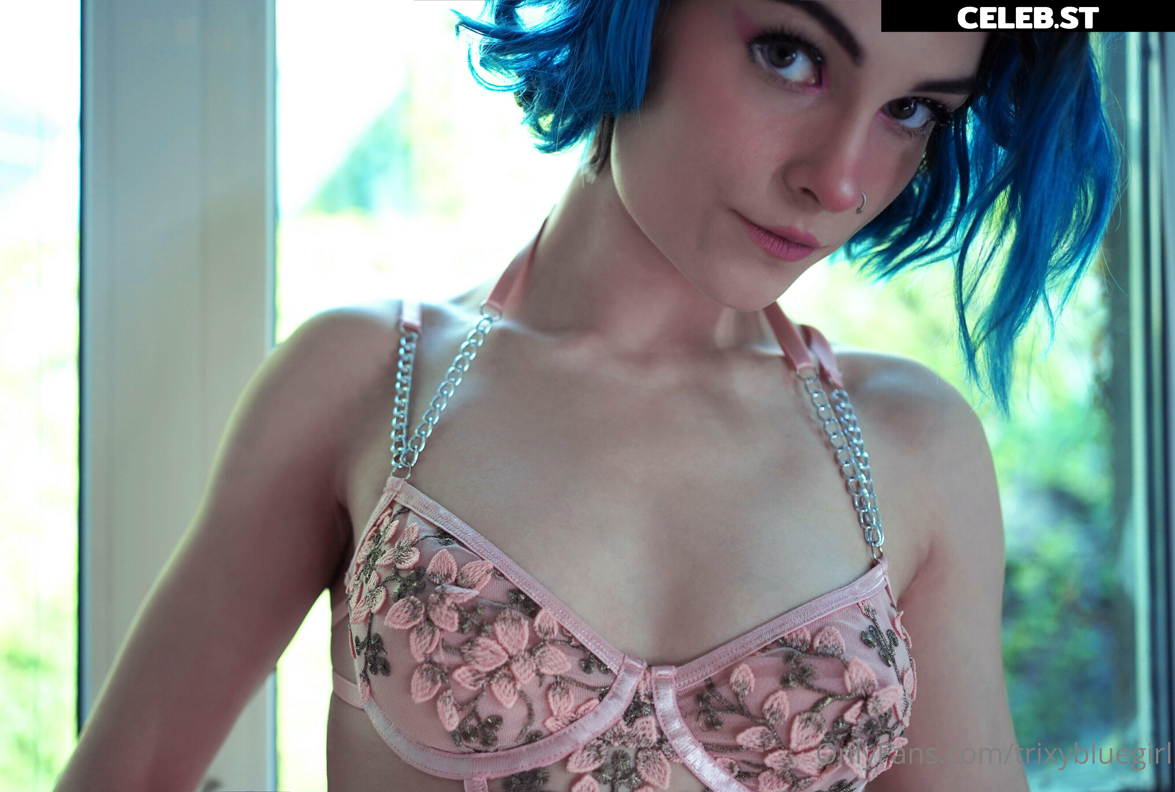 trixyblue Image 1082720