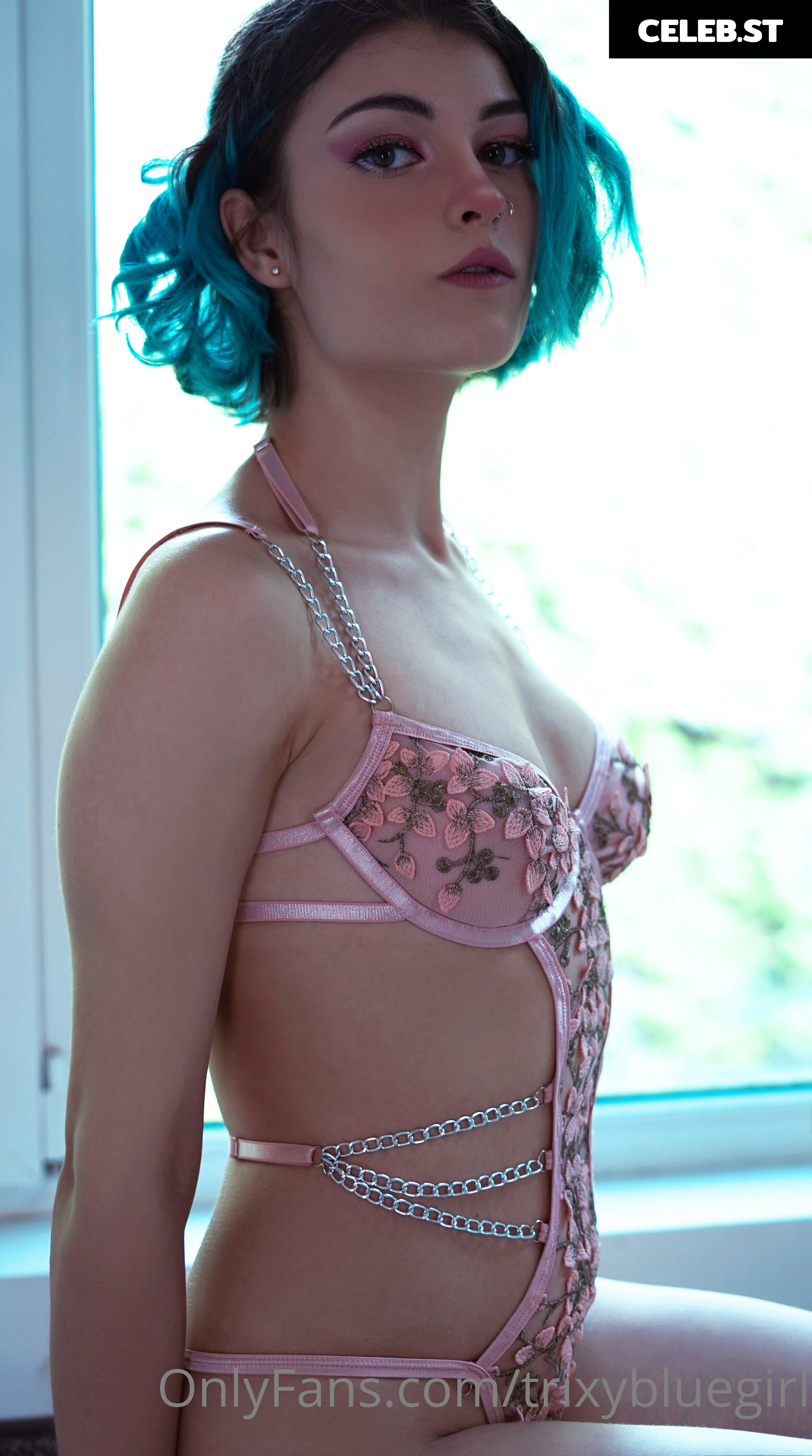 trixyblue Image 1080798