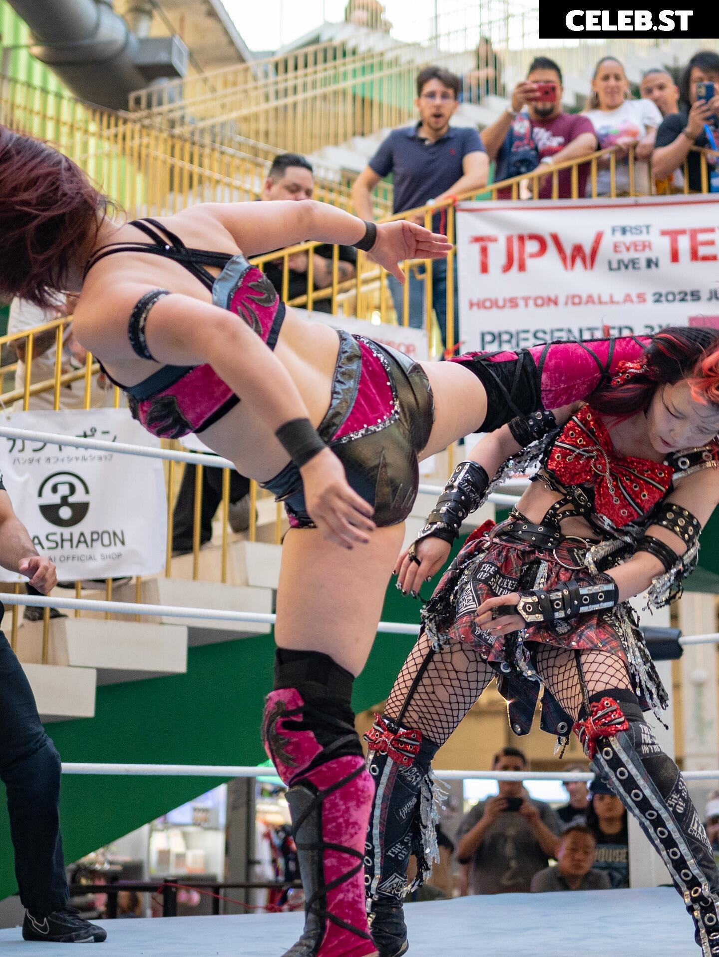 Women of Joshi Puroresu Image 10801562