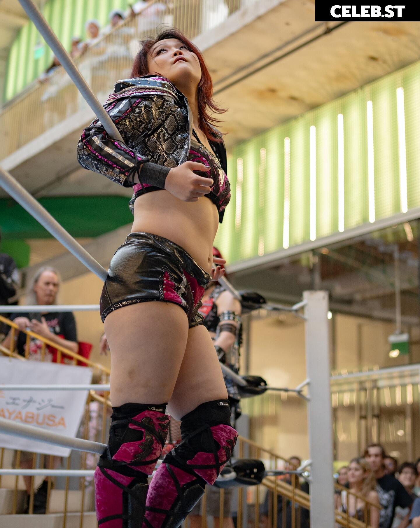 Women of Joshi Puroresu Image 10801566