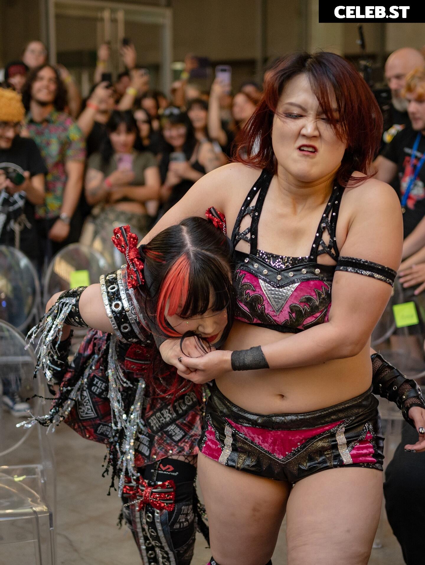 Women of Joshi Puroresu Image 10801565