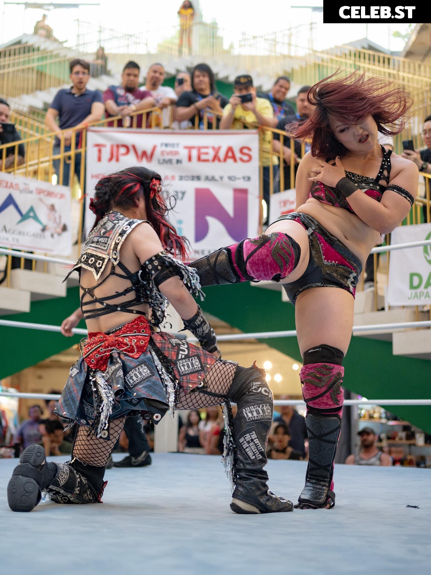 Women of Joshi Puroresu Image 10801564