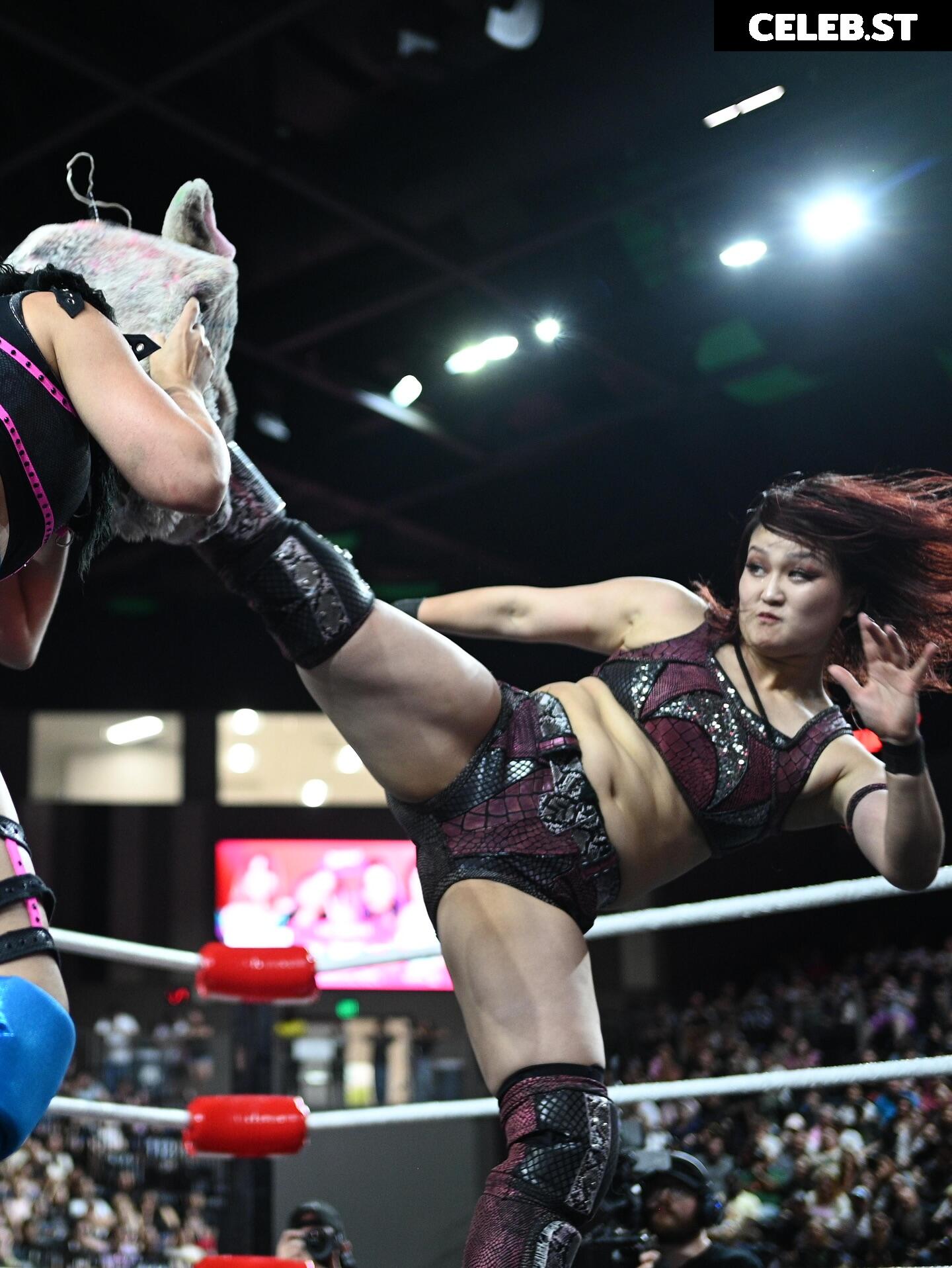 Women of Joshi Puroresu Image 10801557
