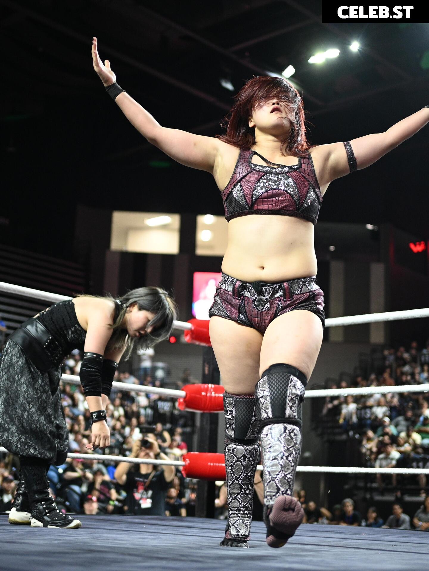 Women of Joshi Puroresu Image 10801556