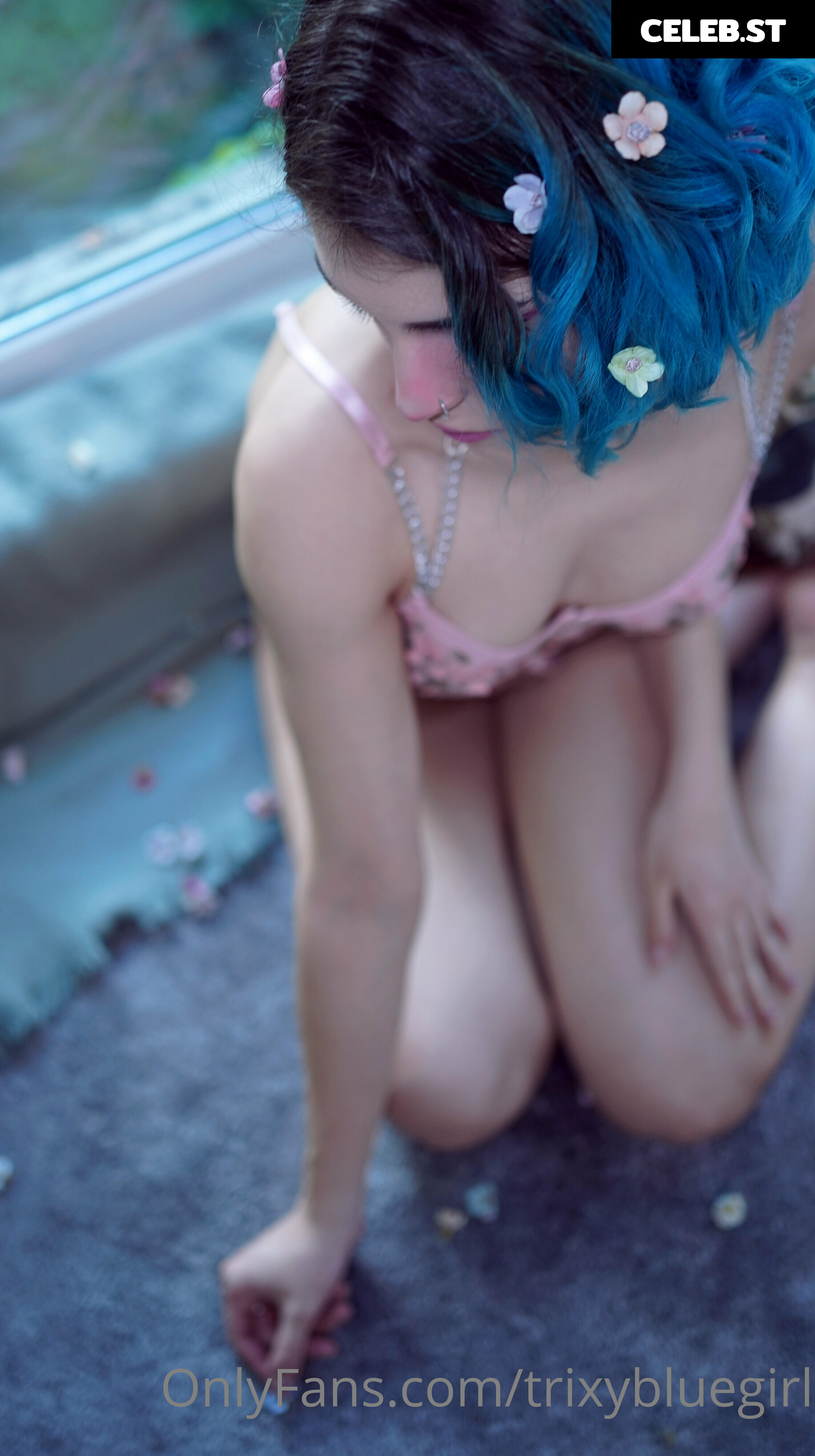 trixyblue Image 1080100