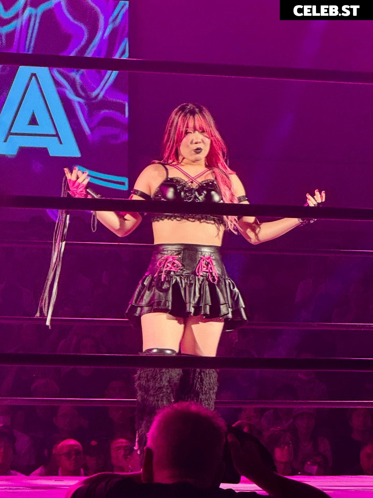 Women of Joshi Puroresu Image 10713633