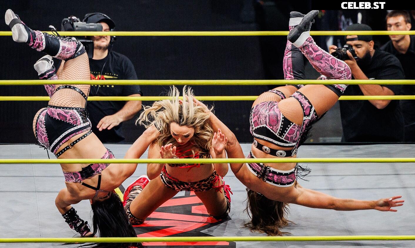 Fallon Henley (WWE) Image 10724378