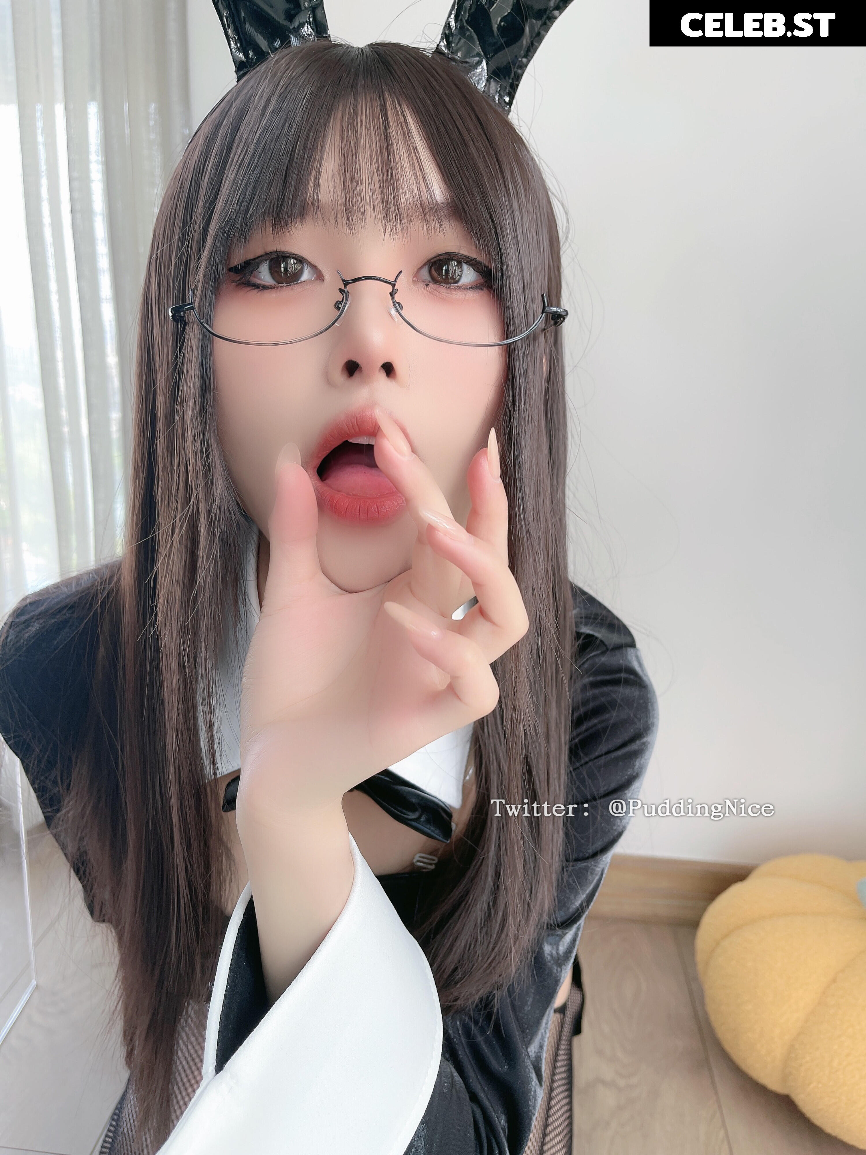 Puddingnice Image 10727221