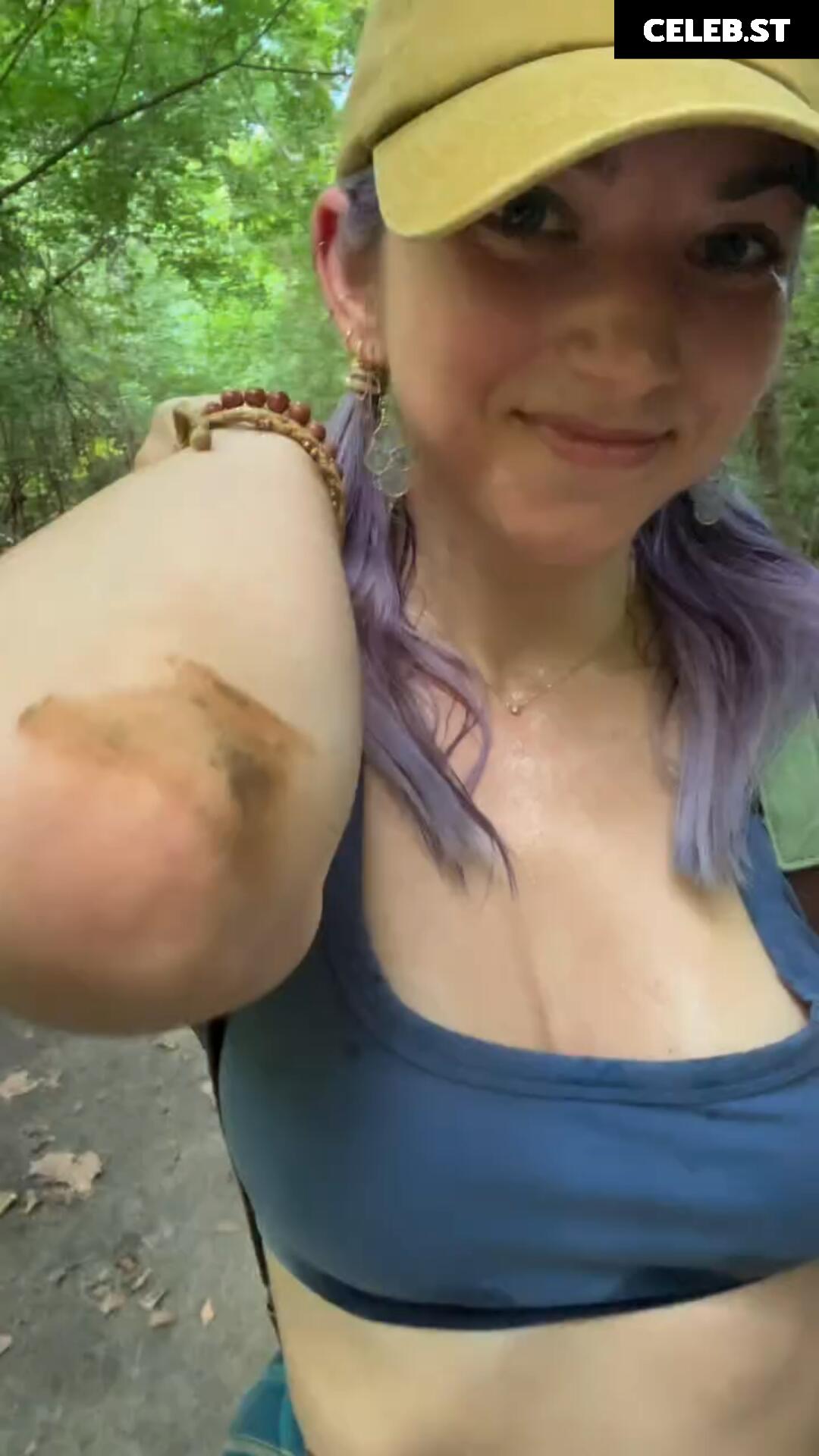 SeeCatPlay / SeeCatWander Image 10798615