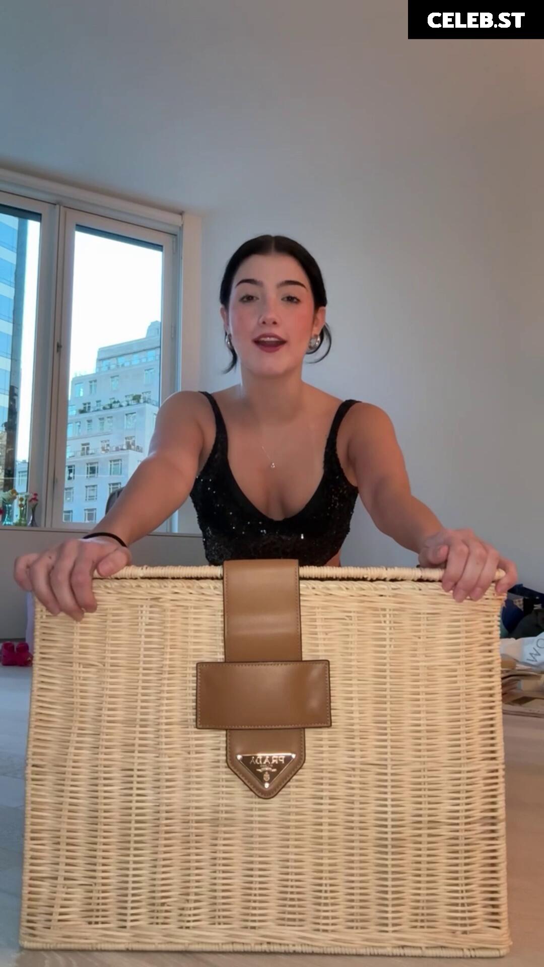 Charli D&#039;Amelio / Charli Damelio Image 10795281