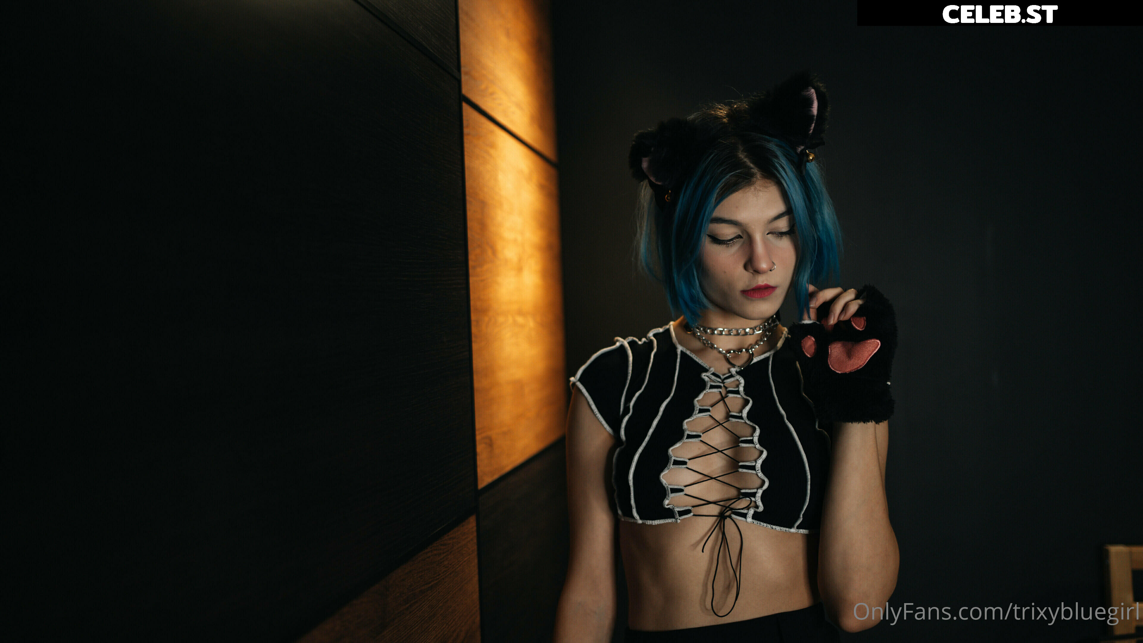trixyblue Image 1079193