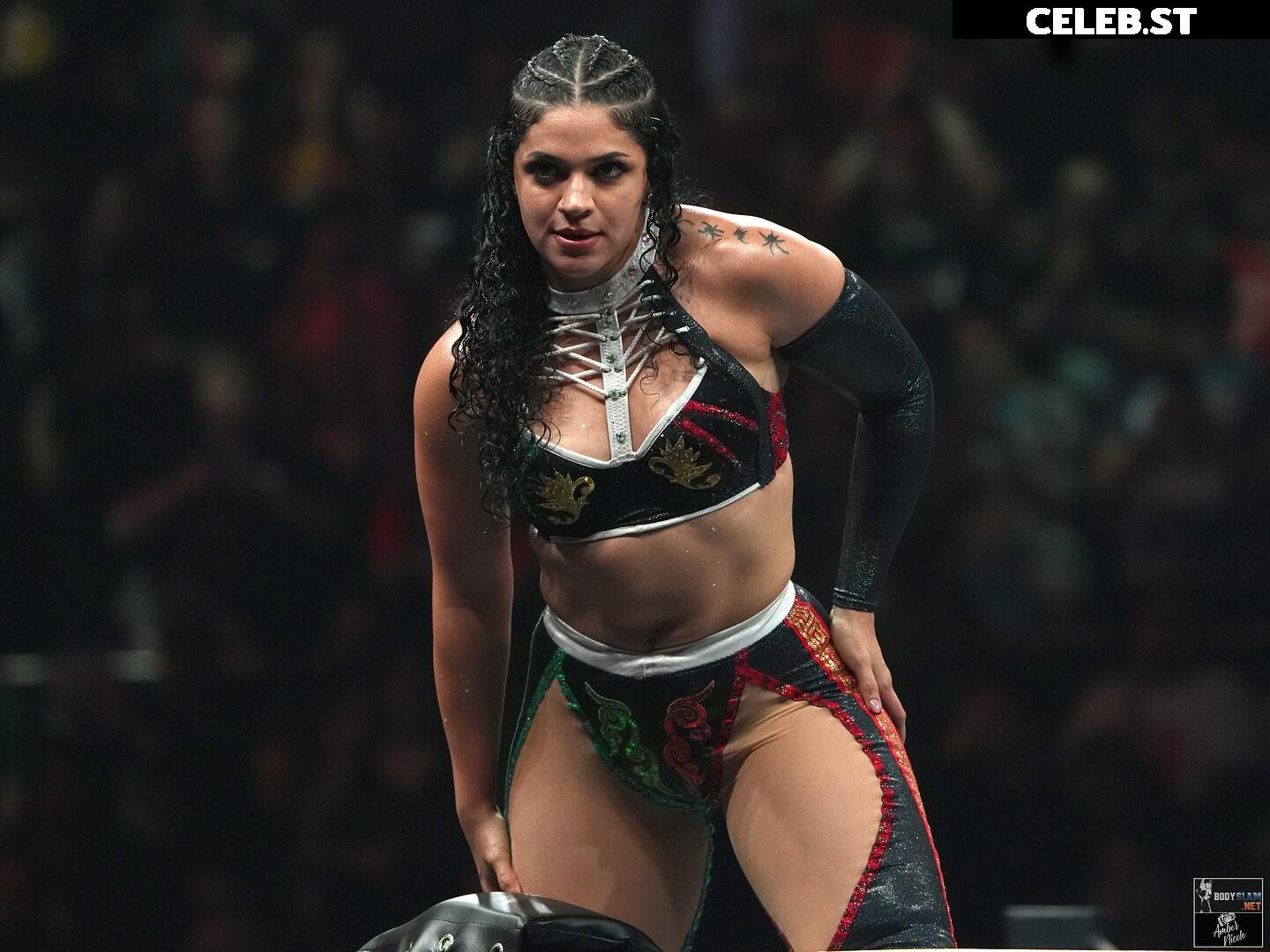 Women of Professional Wrestling Image 10788960