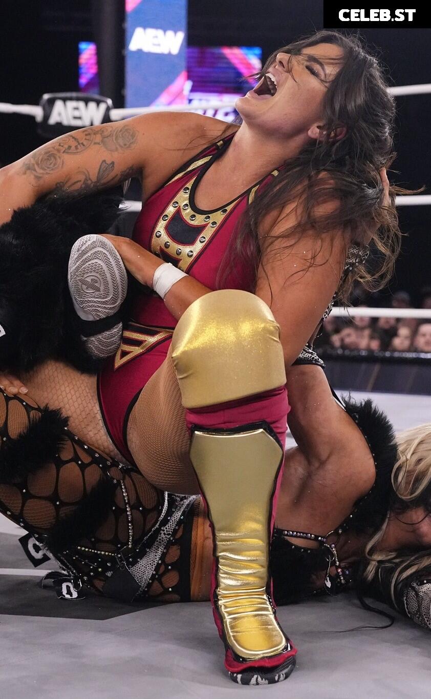 Women of Professional Wrestling Image 10788965