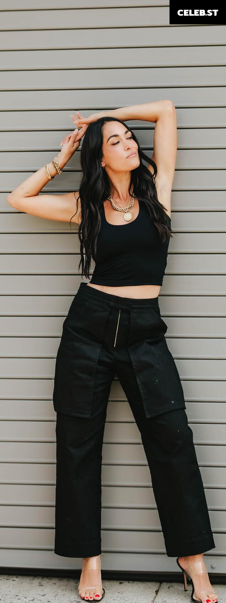 The Bella Twins: Nikki Bella &amp; Brie Bella | Garcia Twins Image 10789856