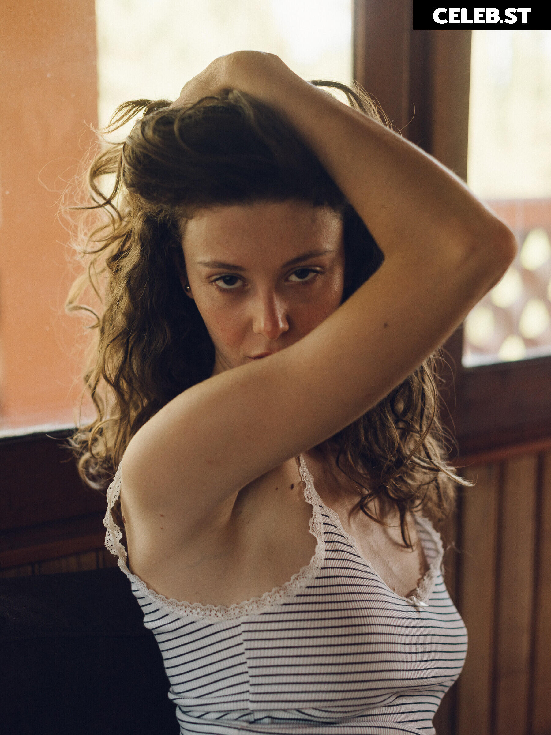 Vanille Barres Image 10658082