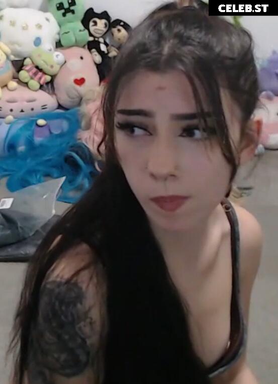 Nipslips &amp; Just Chatting streamers Image 10666020