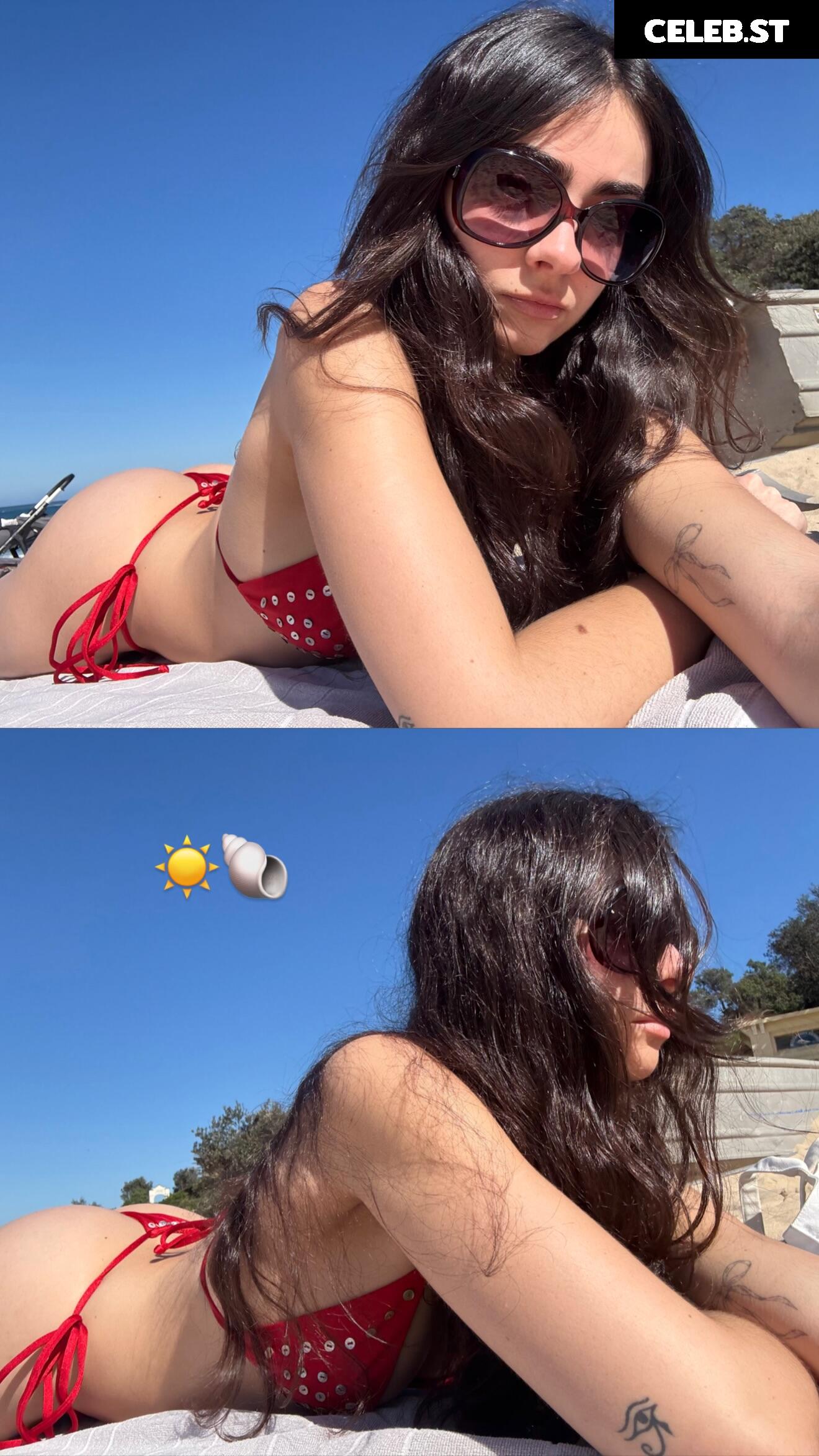 Inas Elashiry / inaselashiry Image 10660497