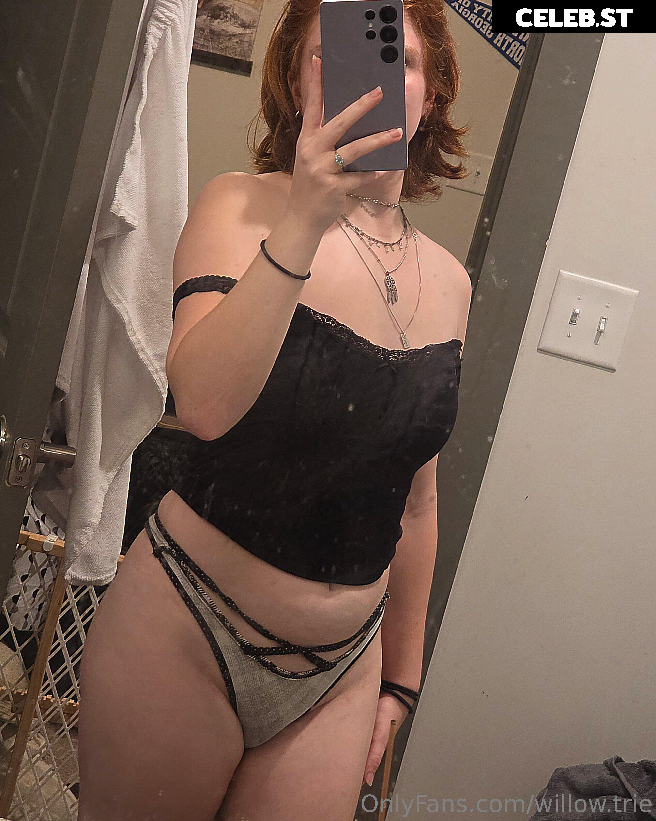 Willow.Trie Image 10669506