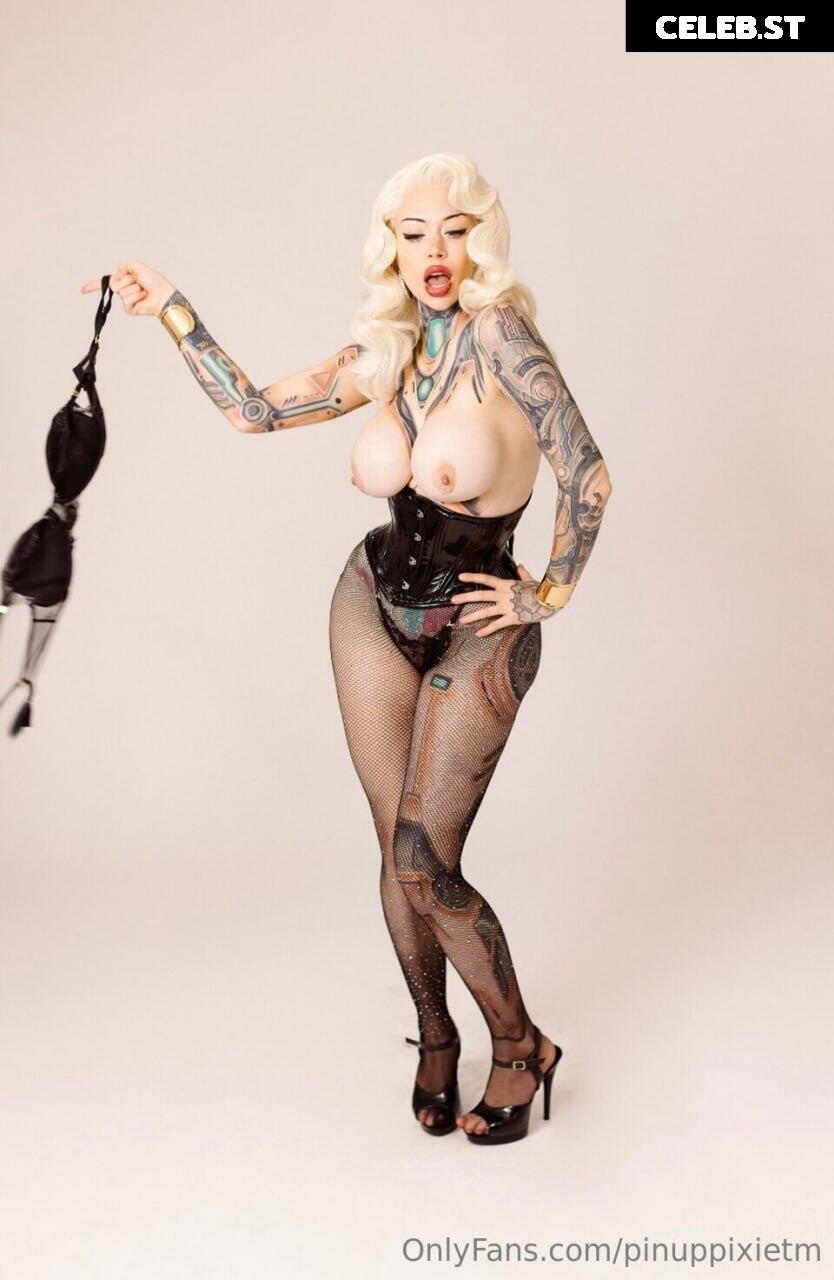 PinupPixie / Cyberpunk Pixie Image 10669195