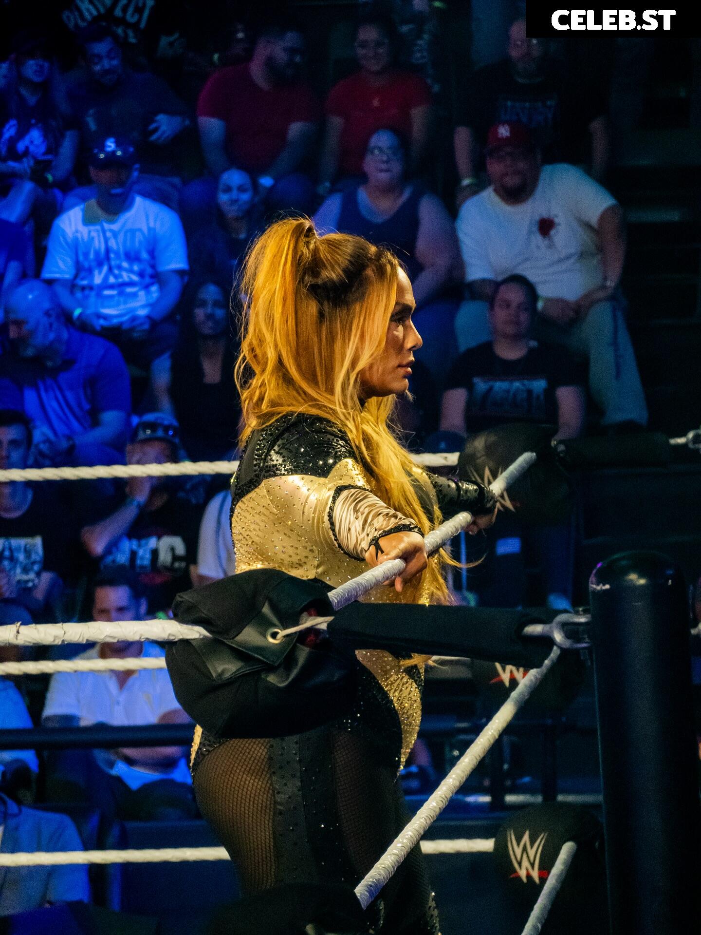 Nia Jax/Lina Fanene Image 10675328