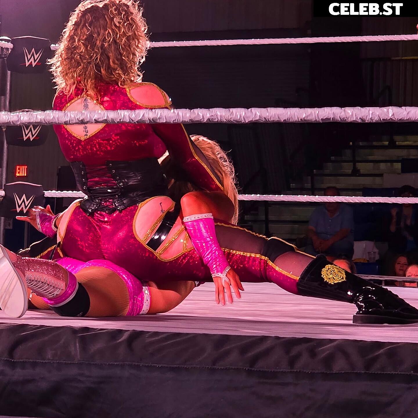 WWE Nikkita Lyons Image 10618333