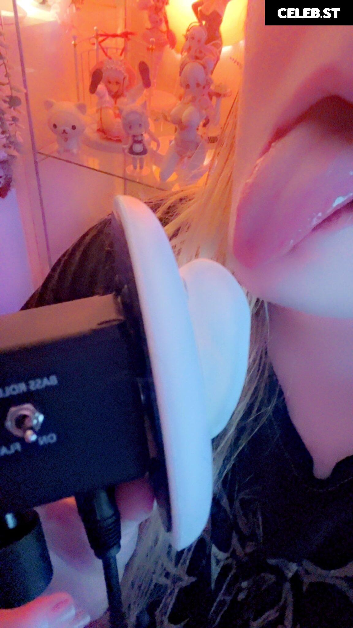 Succuguts Image 10614740