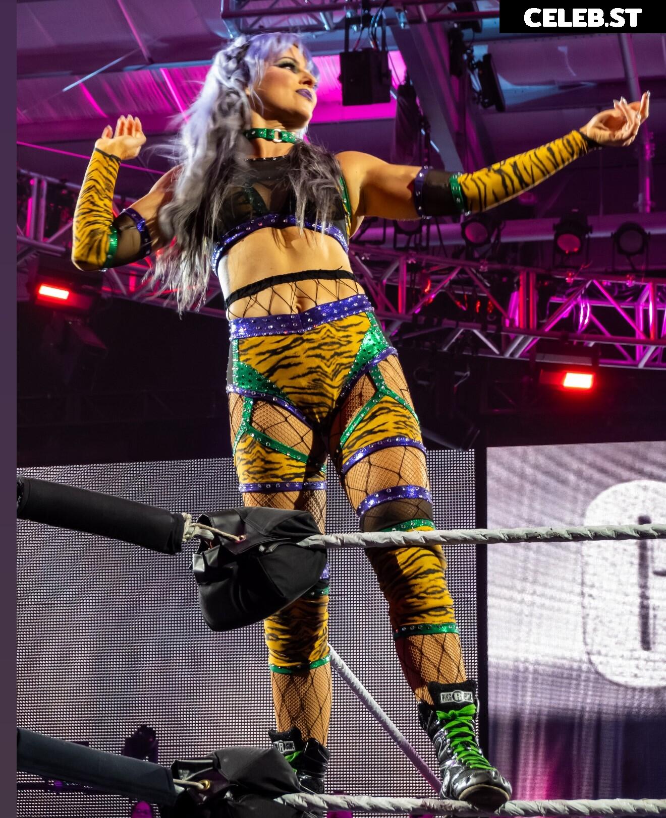 Women of Professional Wrestling Image 10617429