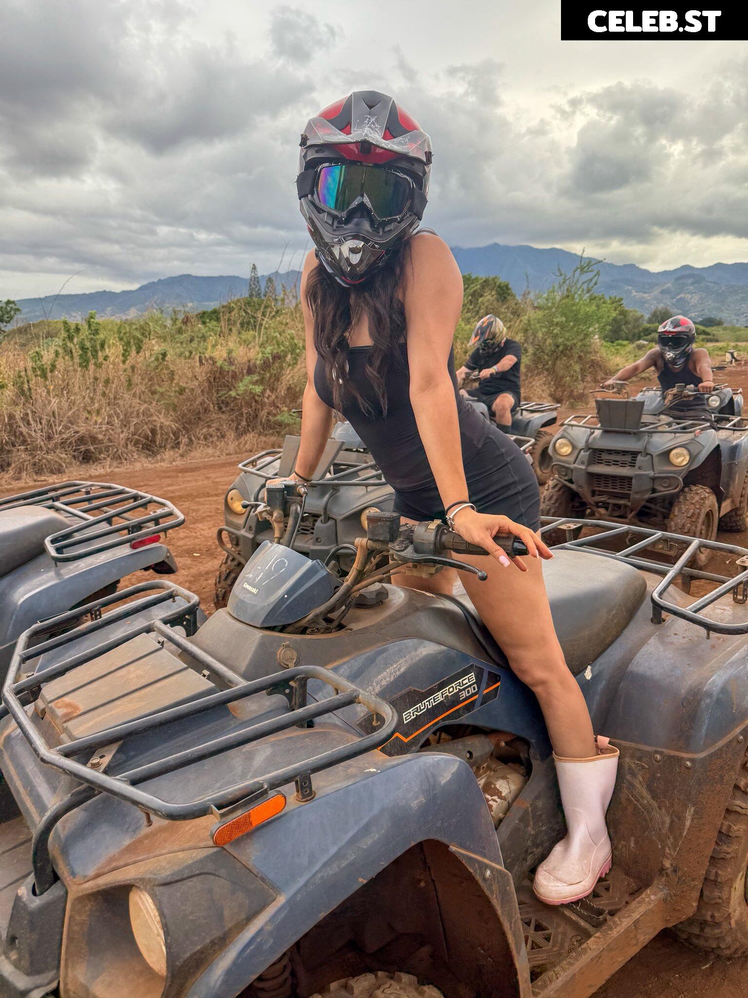 Cinnabrit Image 10613464