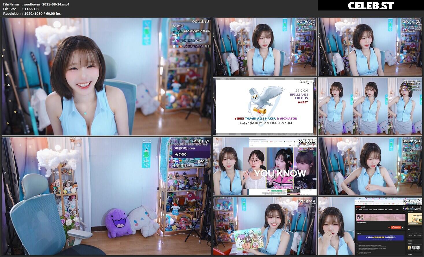 sooflower Image 10612660