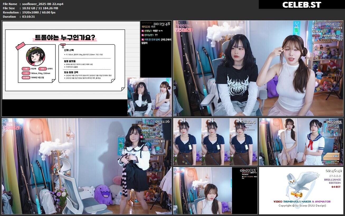 sooflower Image 10612670