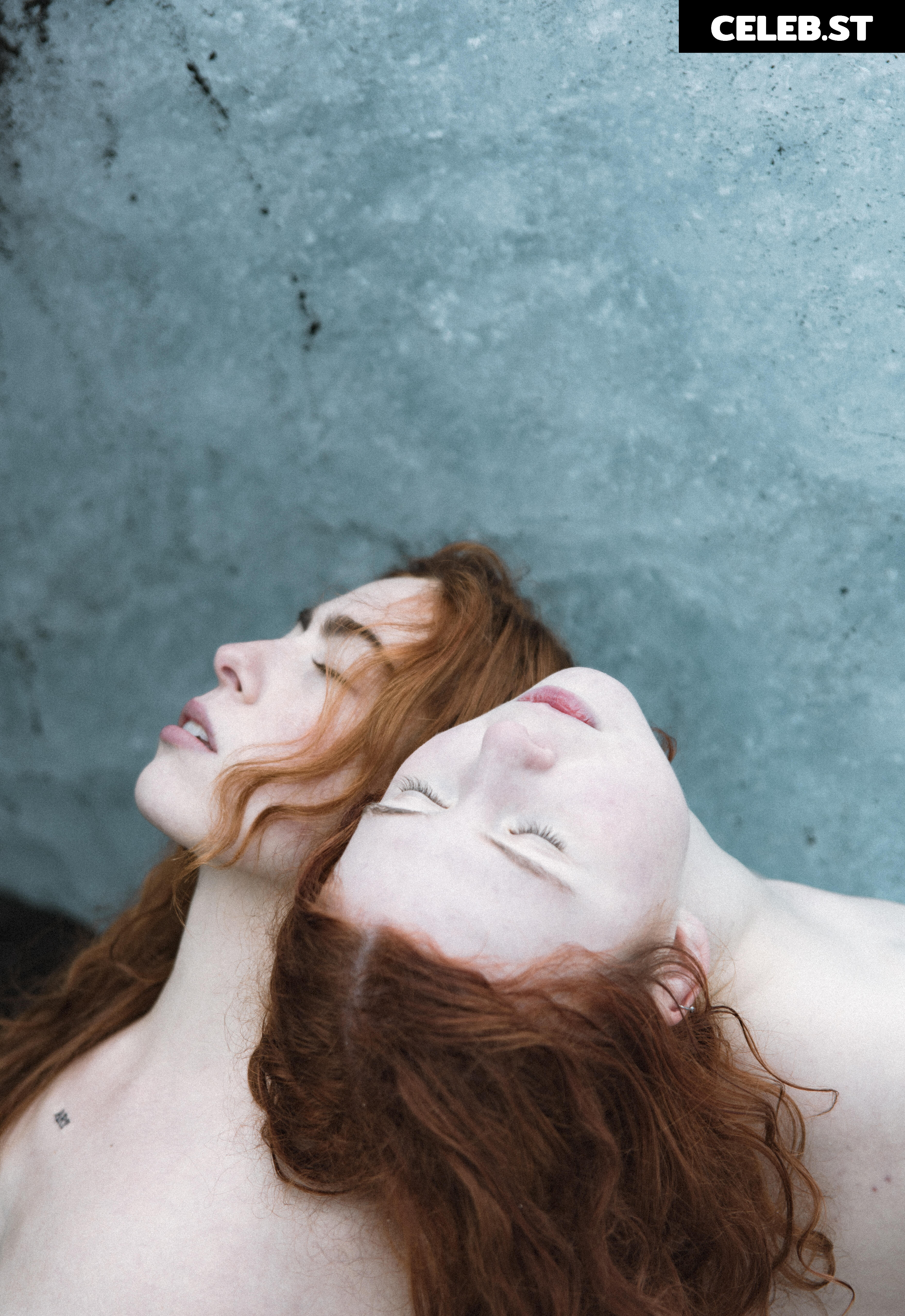 Icelandic Selkie Image 10627422