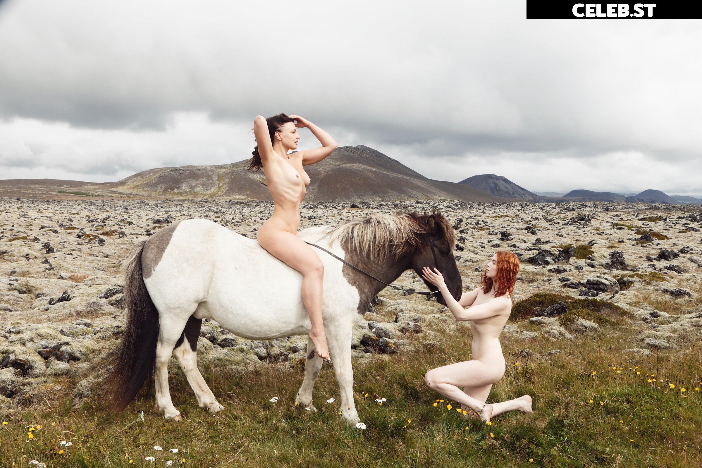 Icelandic Selkie Image 10627443
