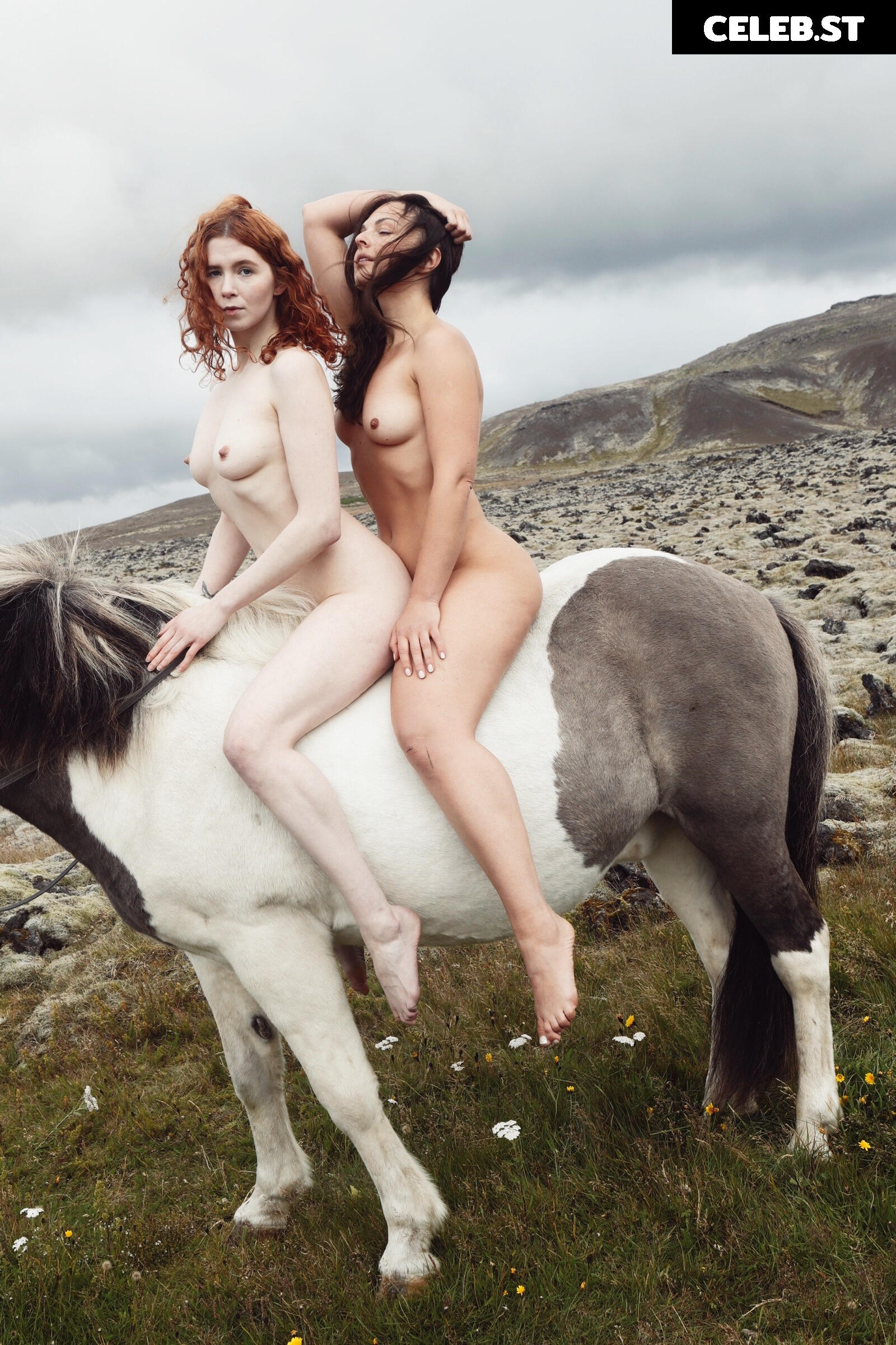 Icelandic Selkie Image 10627448